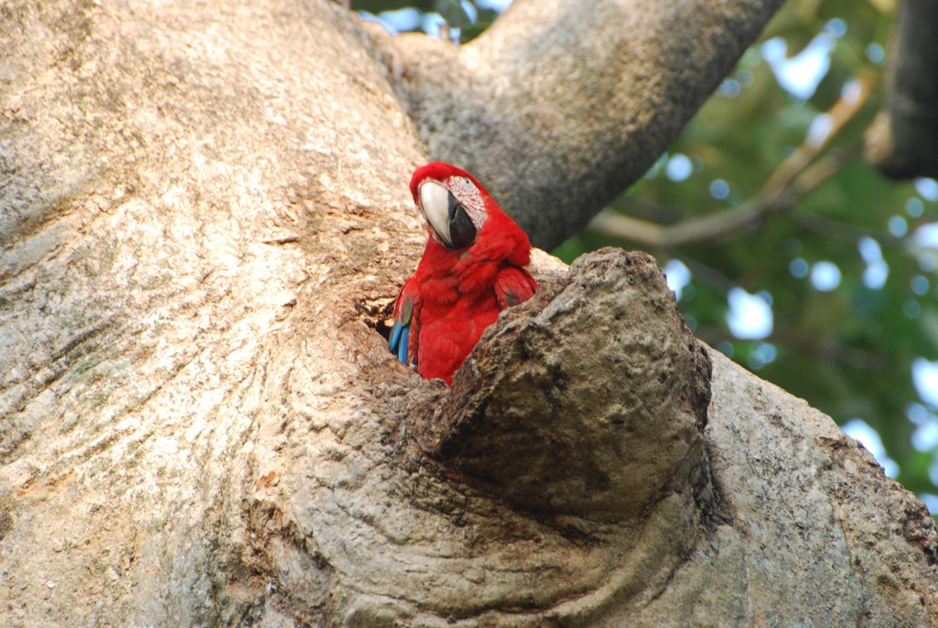 Hostel Camping Road Park Pantanal Sul
