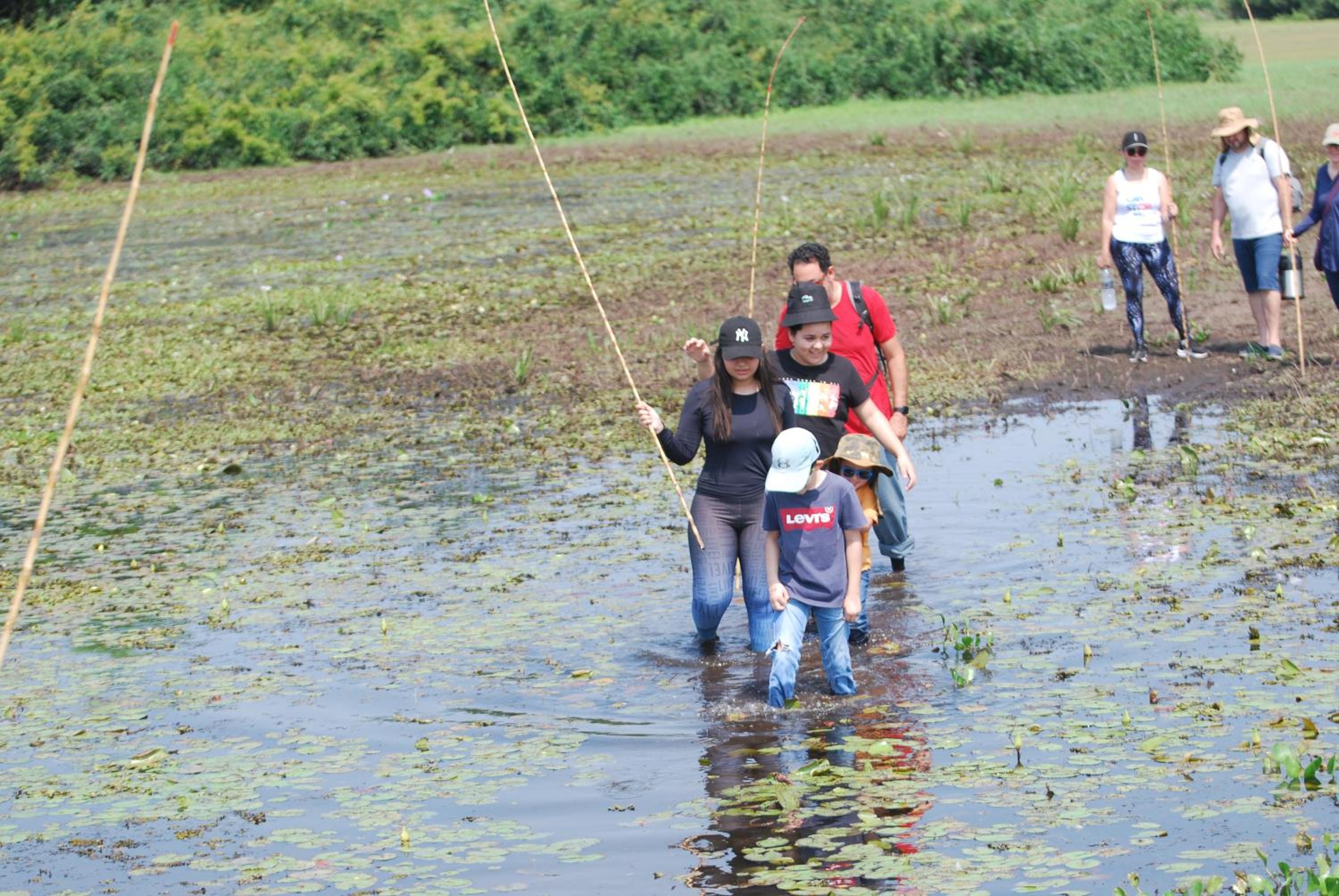 Hostel Camping Road Park Pantanal Sul