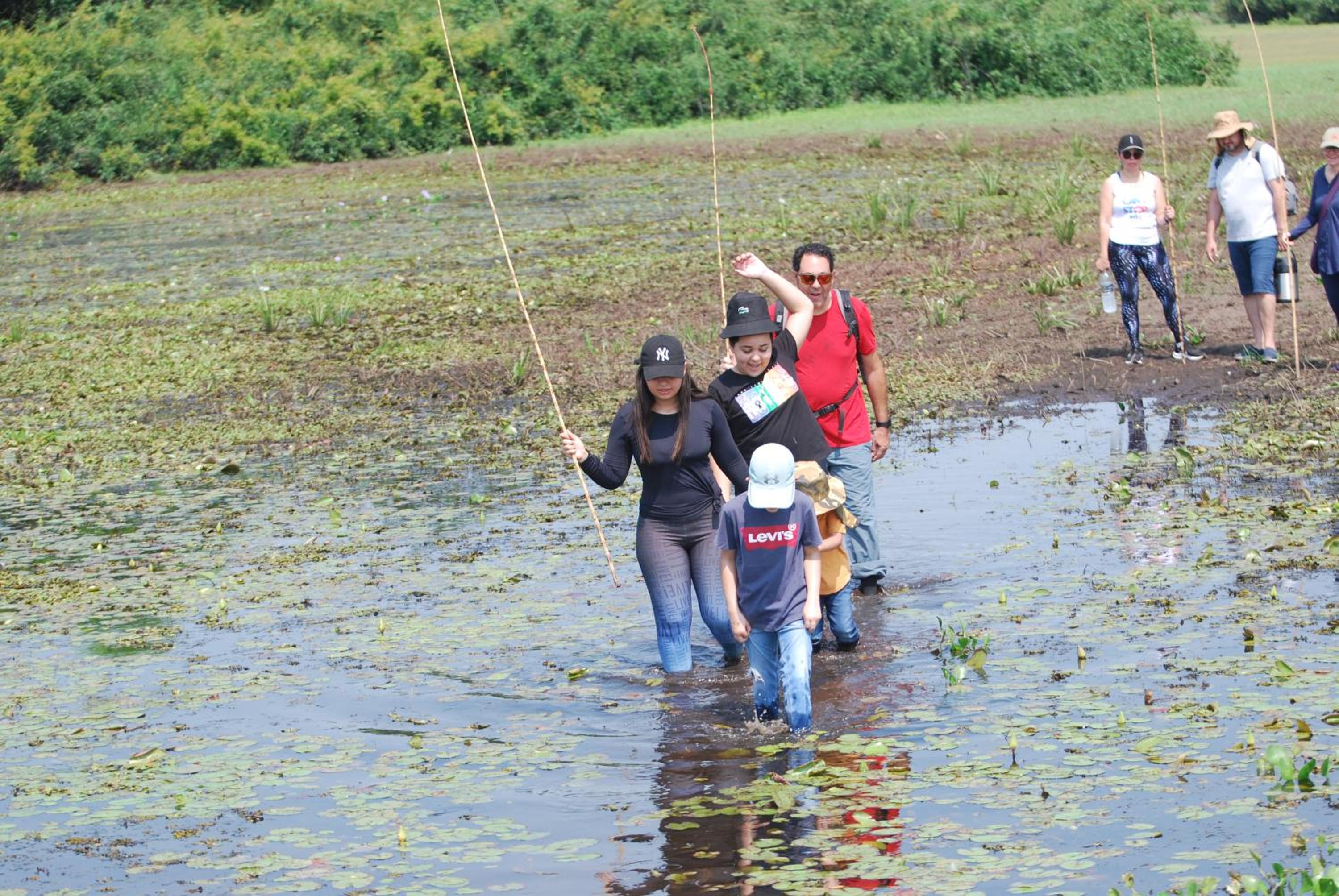 Hostel Camping Road Park Pantanal Sul