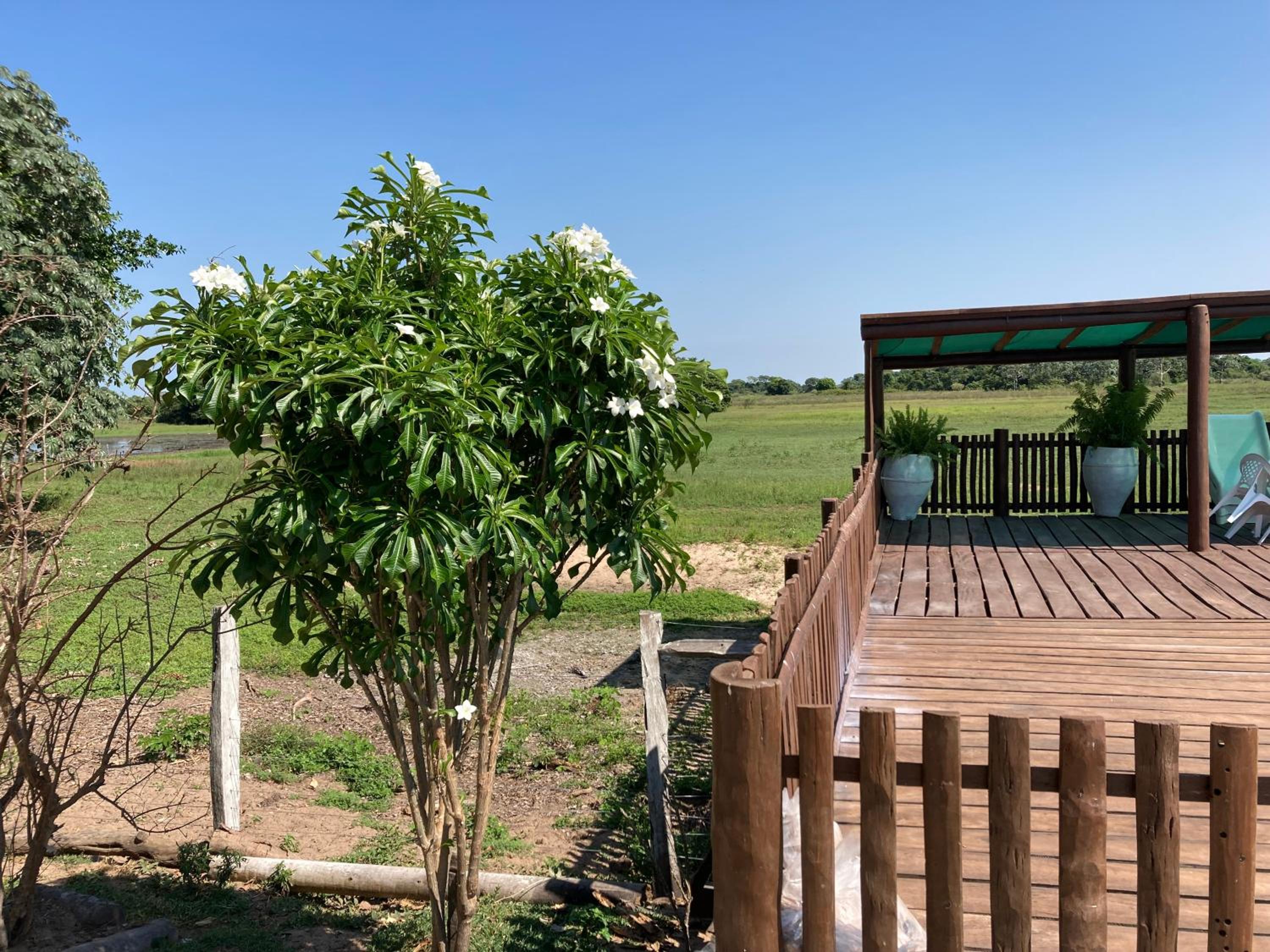 Hostel Camping Road Park Pantanal Sul