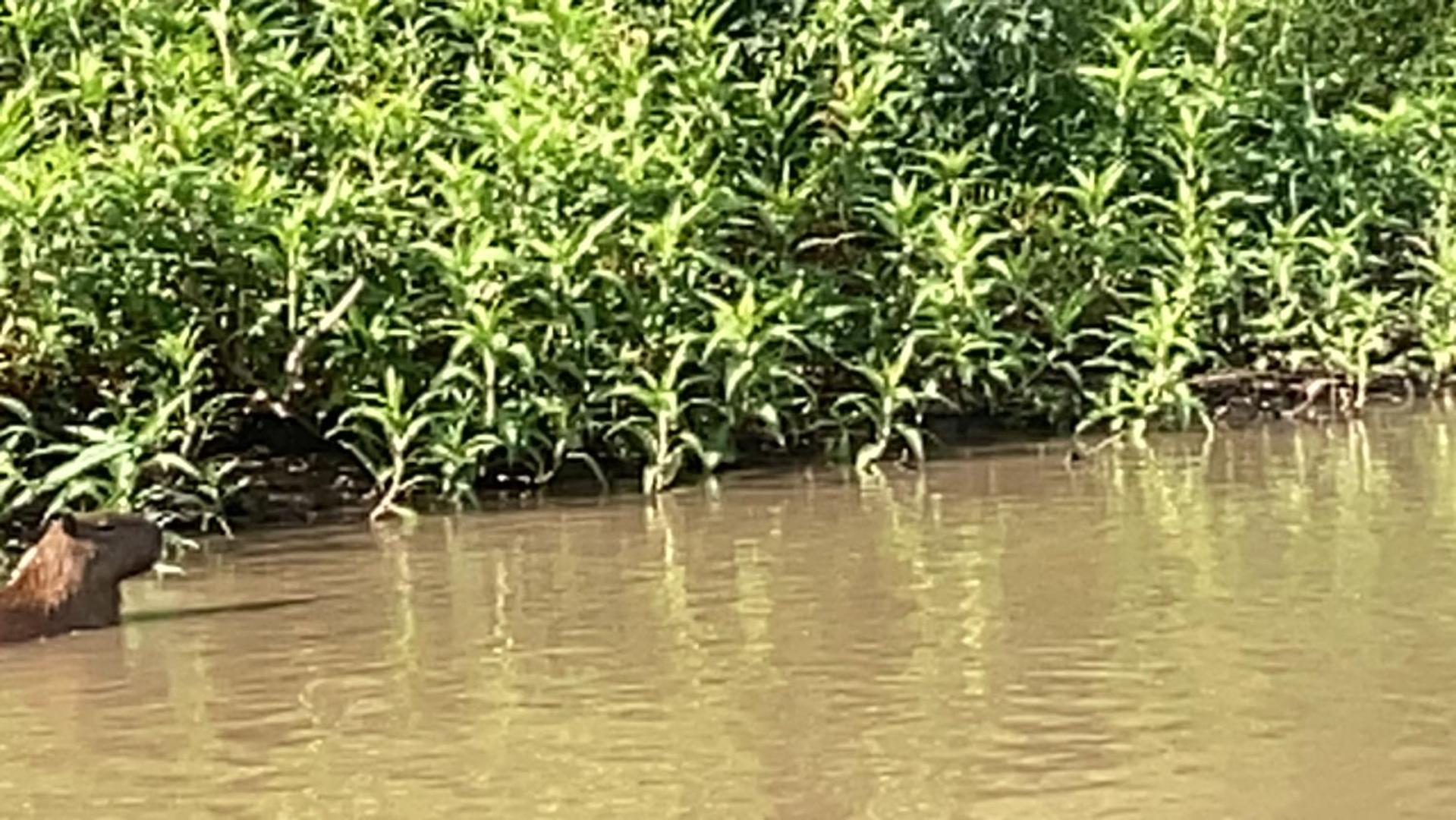 Hostel Camping Road Park Pantanal Sul