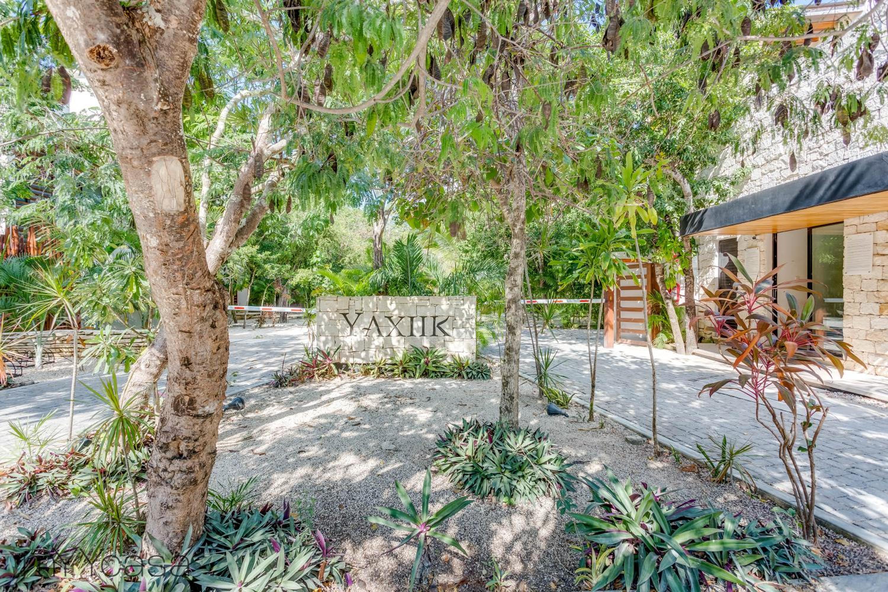 Cozy & Modern house in Aldea Zama Tulum Villa 11 view 5