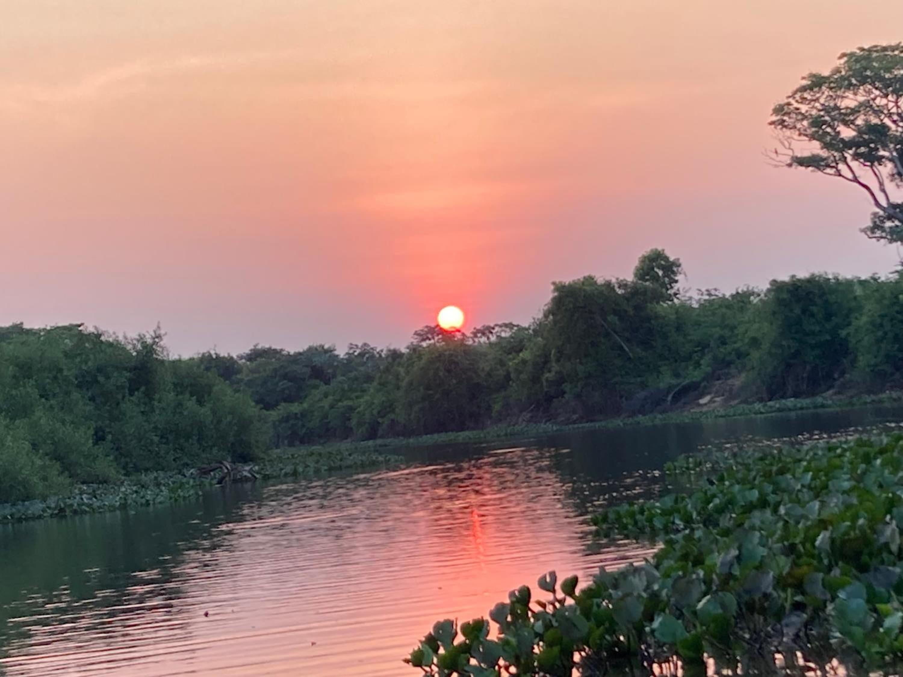 Hostel Camping Road Park Pantanal Sul