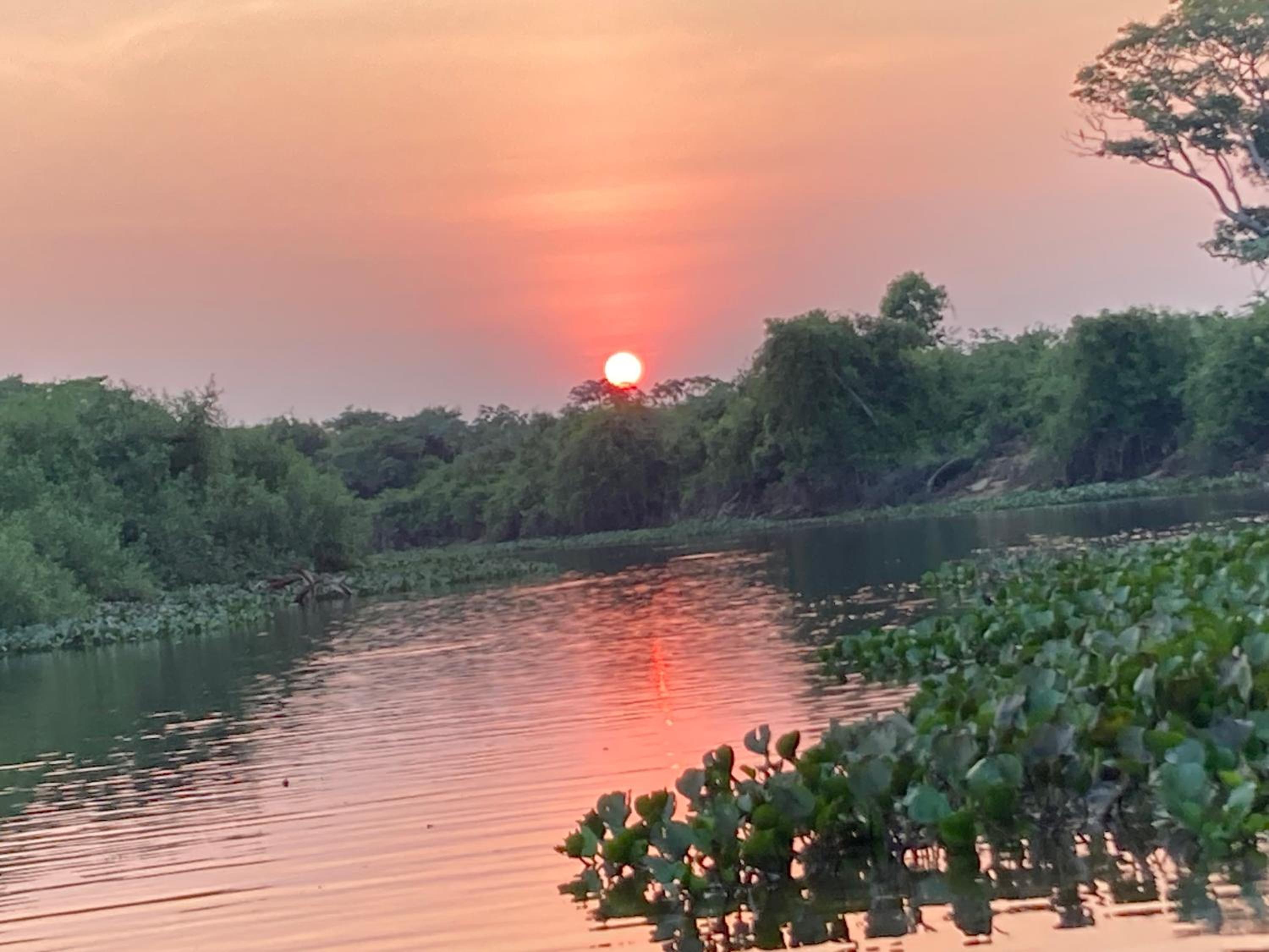 Hostel Camping Road Park Pantanal Sul