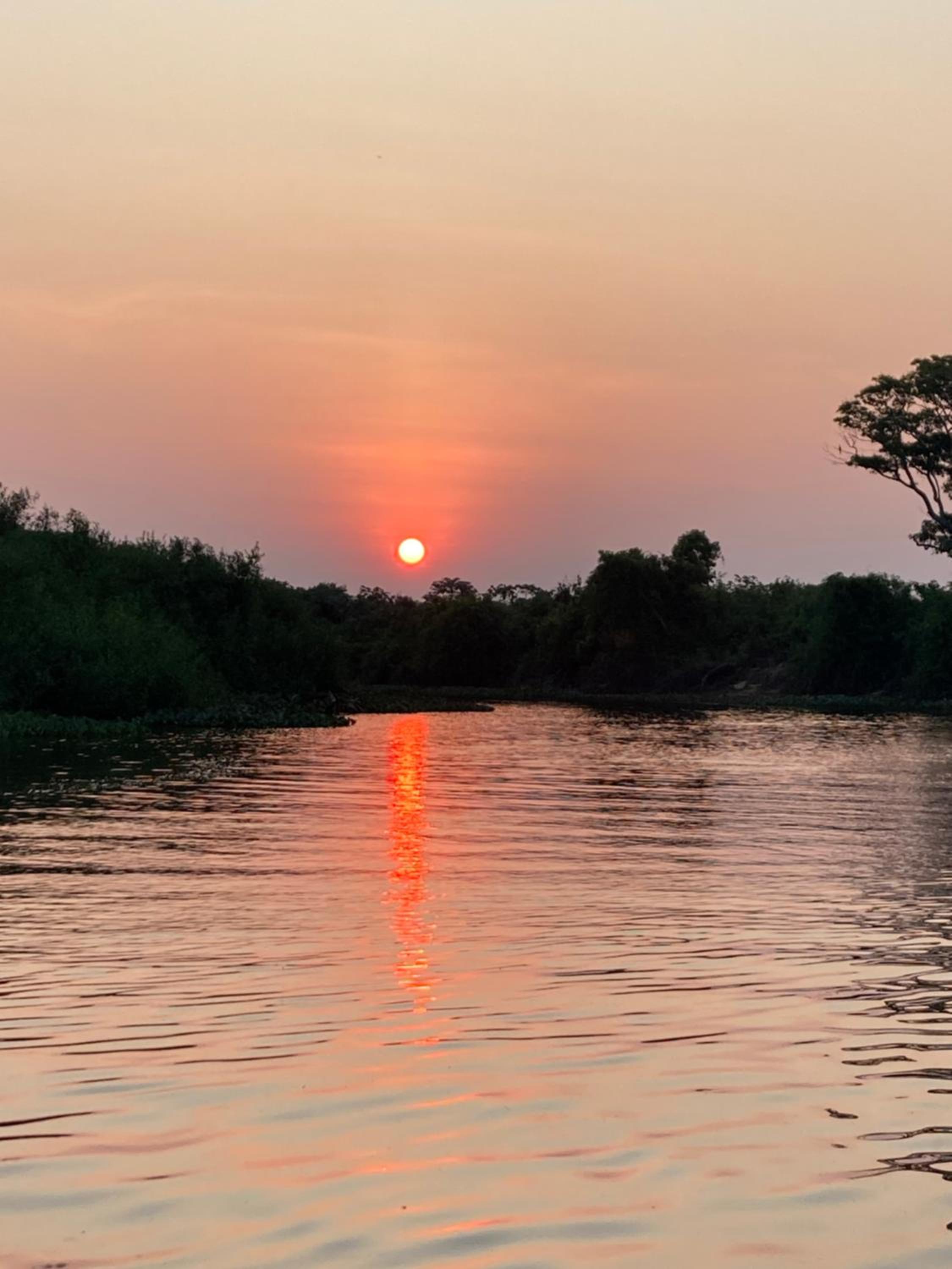 Hostel Camping Road Park Pantanal Sul