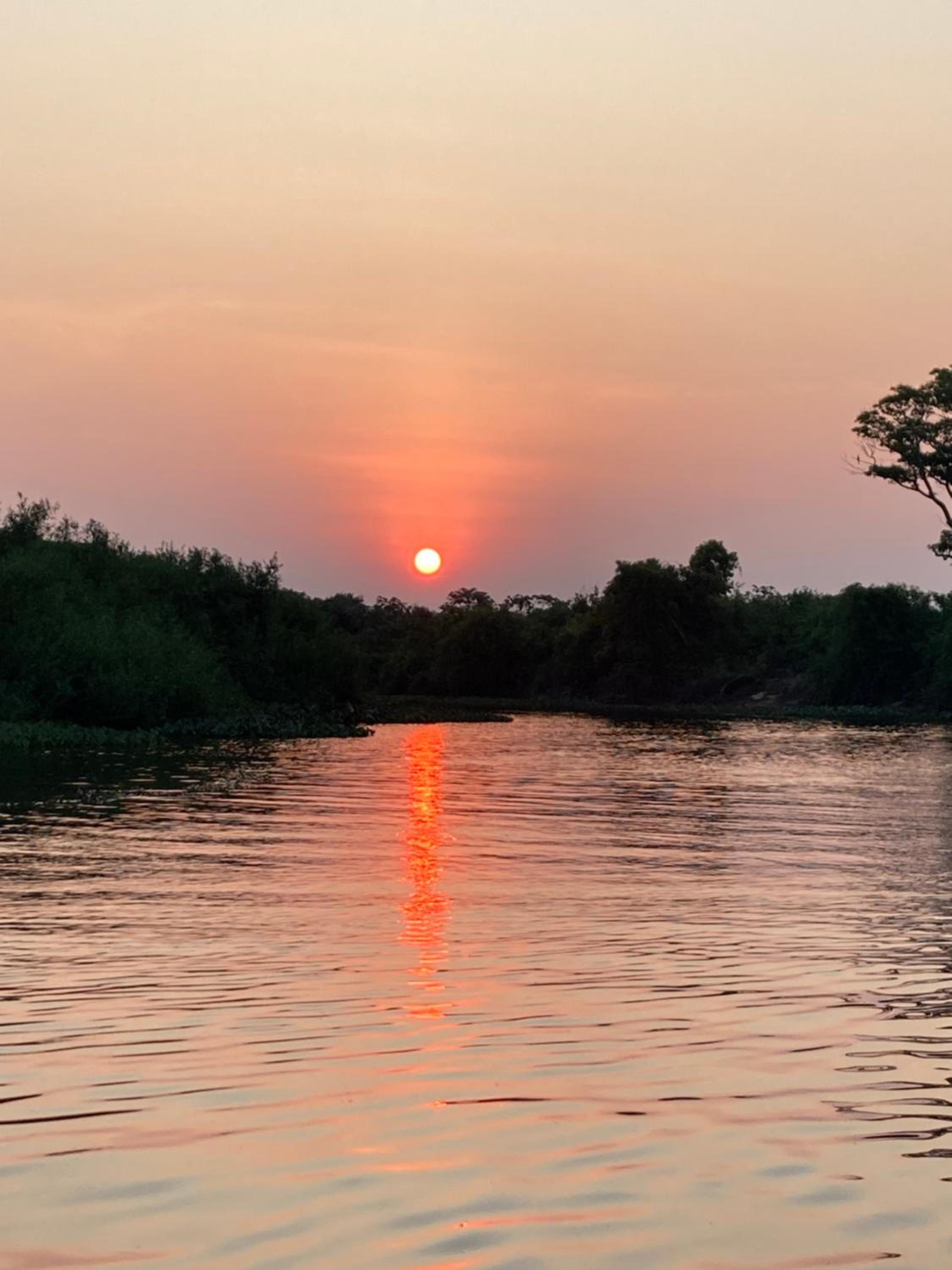 Hostel Camping Road Park Pantanal Sul