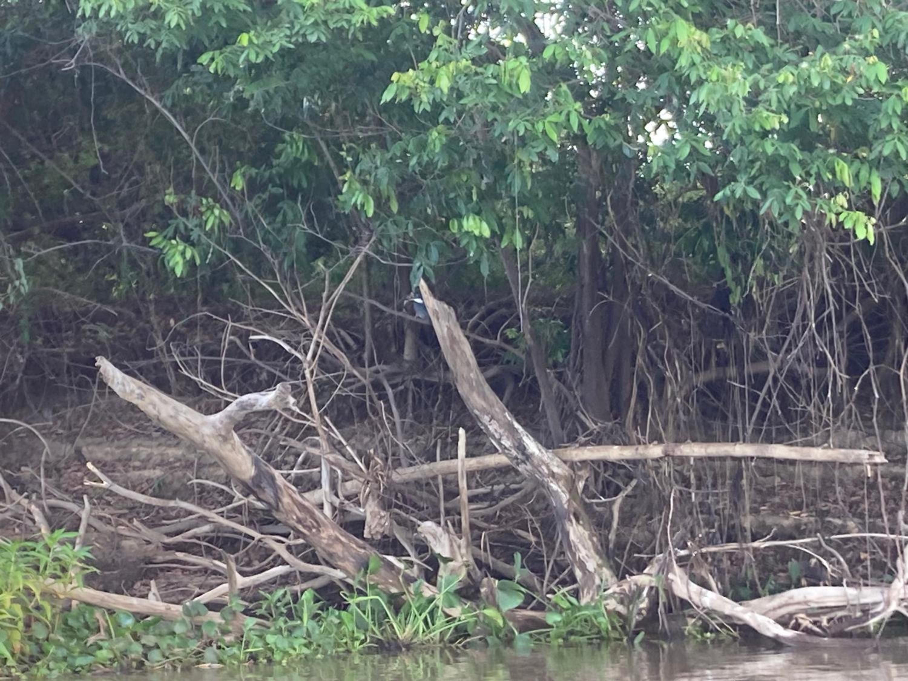 Hostel Camping Road Park Pantanal Sul