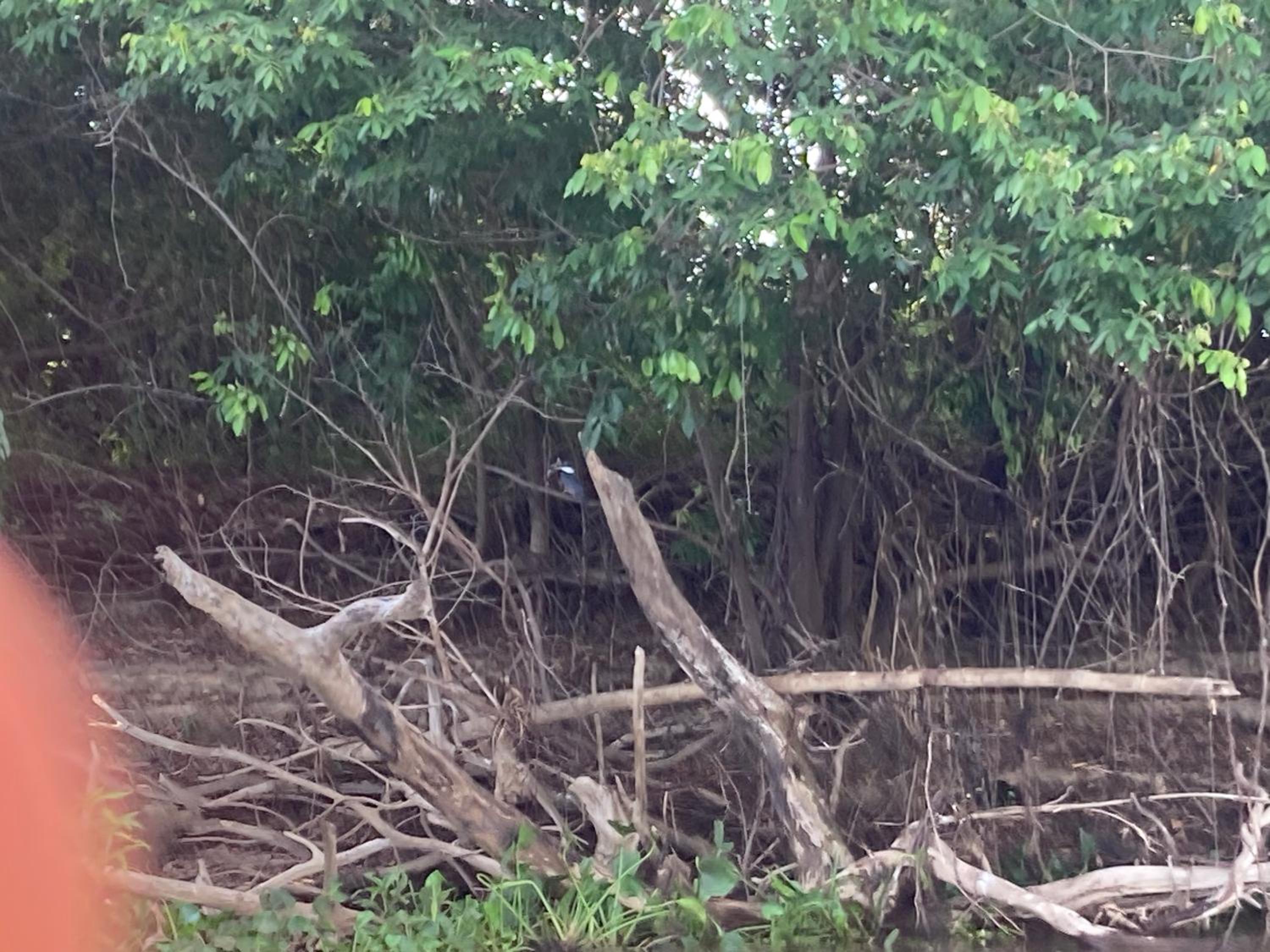 Hostel Camping Road Park Pantanal Sul