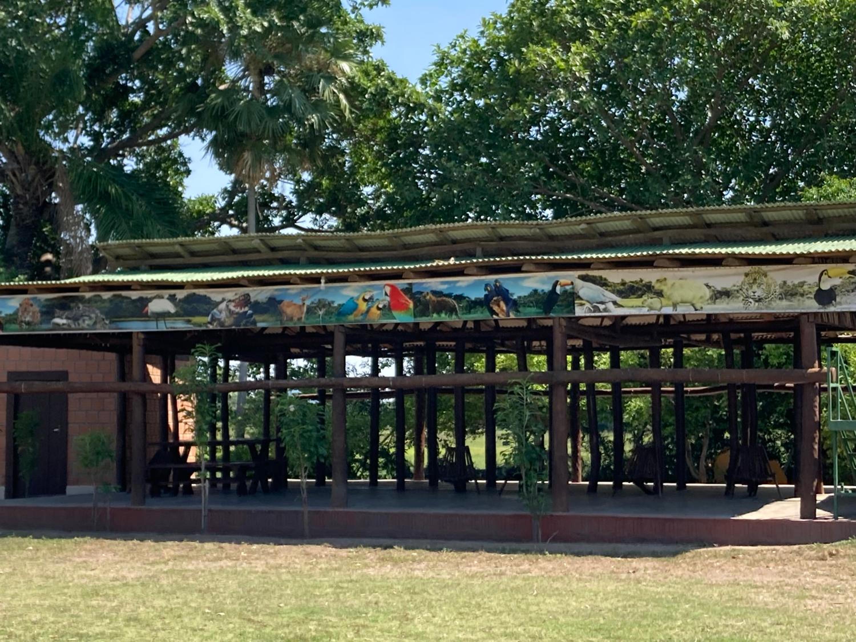 Hostel Camping Road Park Pantanal Sul