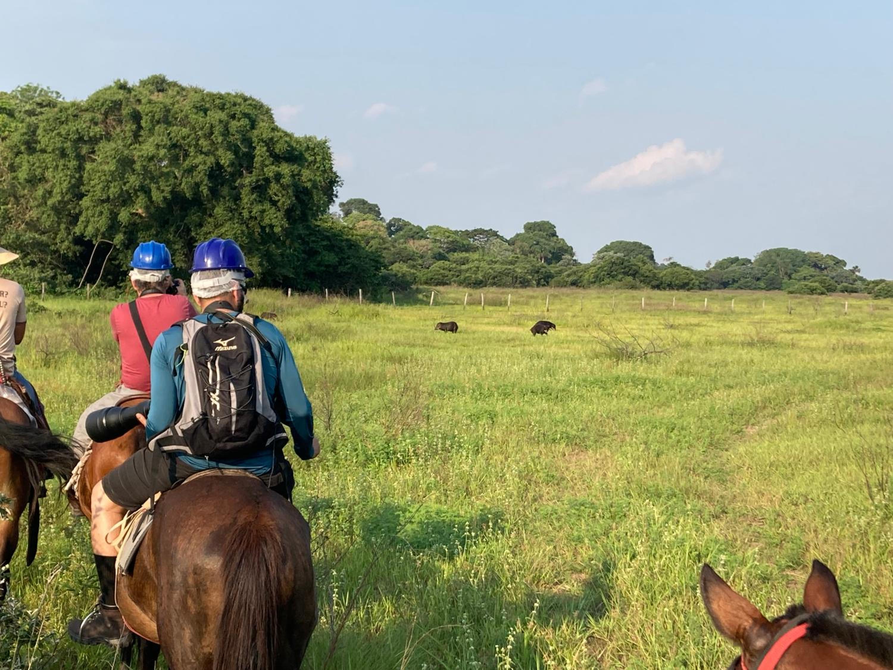 Hostel Camping Road Park Pantanal Sul