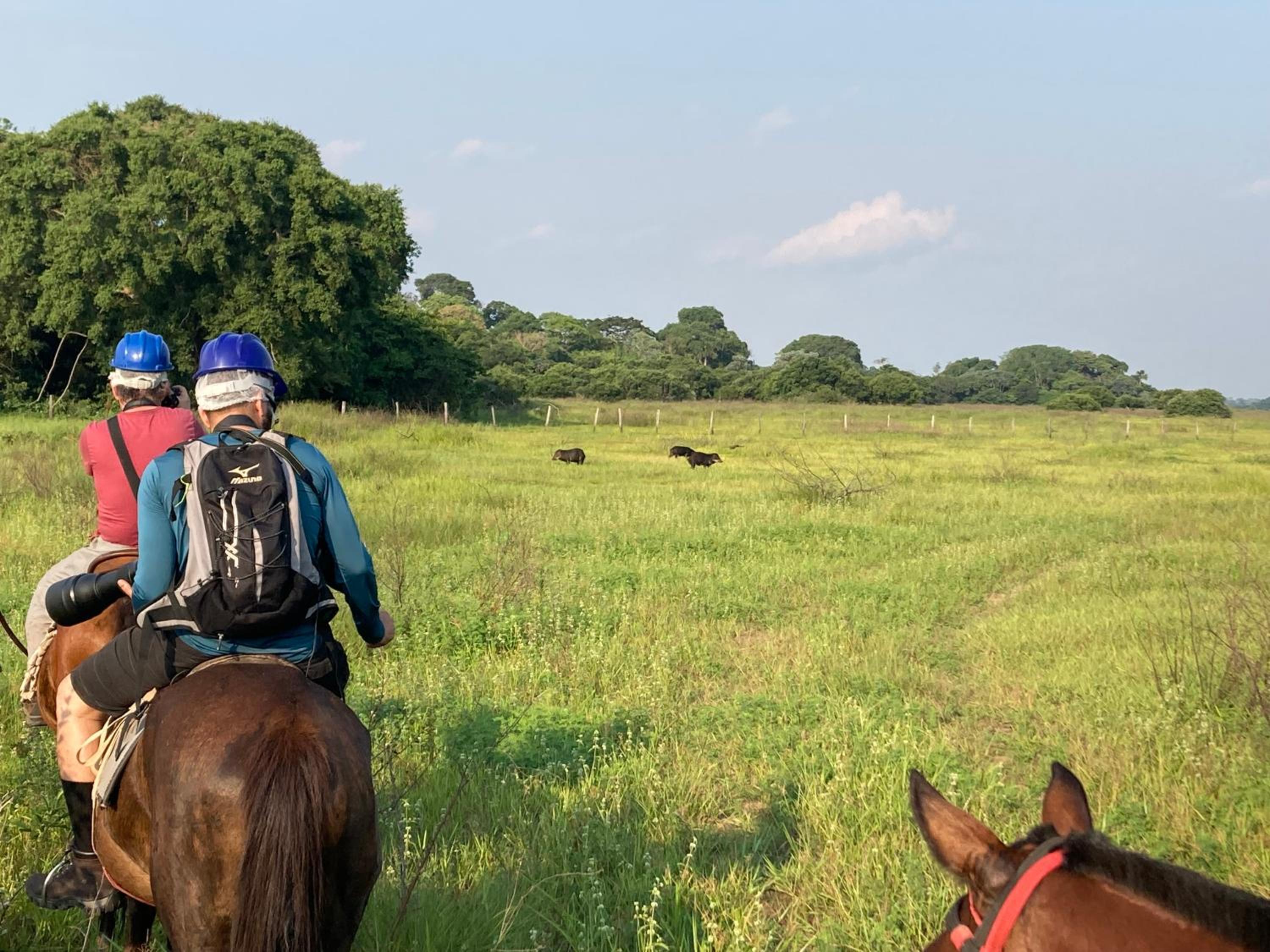 Hostel Camping Road Park Pantanal Sul