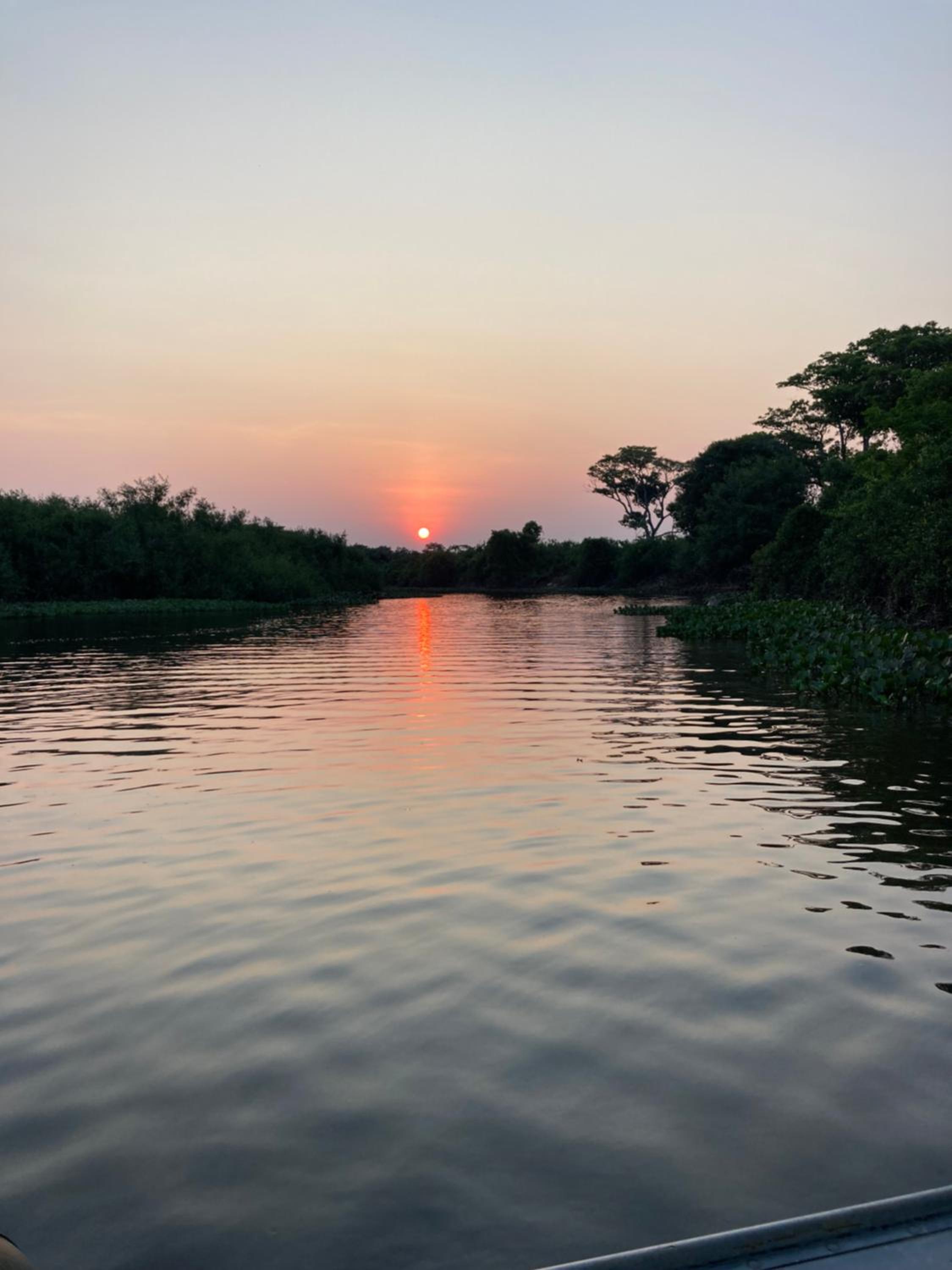 Hostel Camping Road Park Pantanal Sul