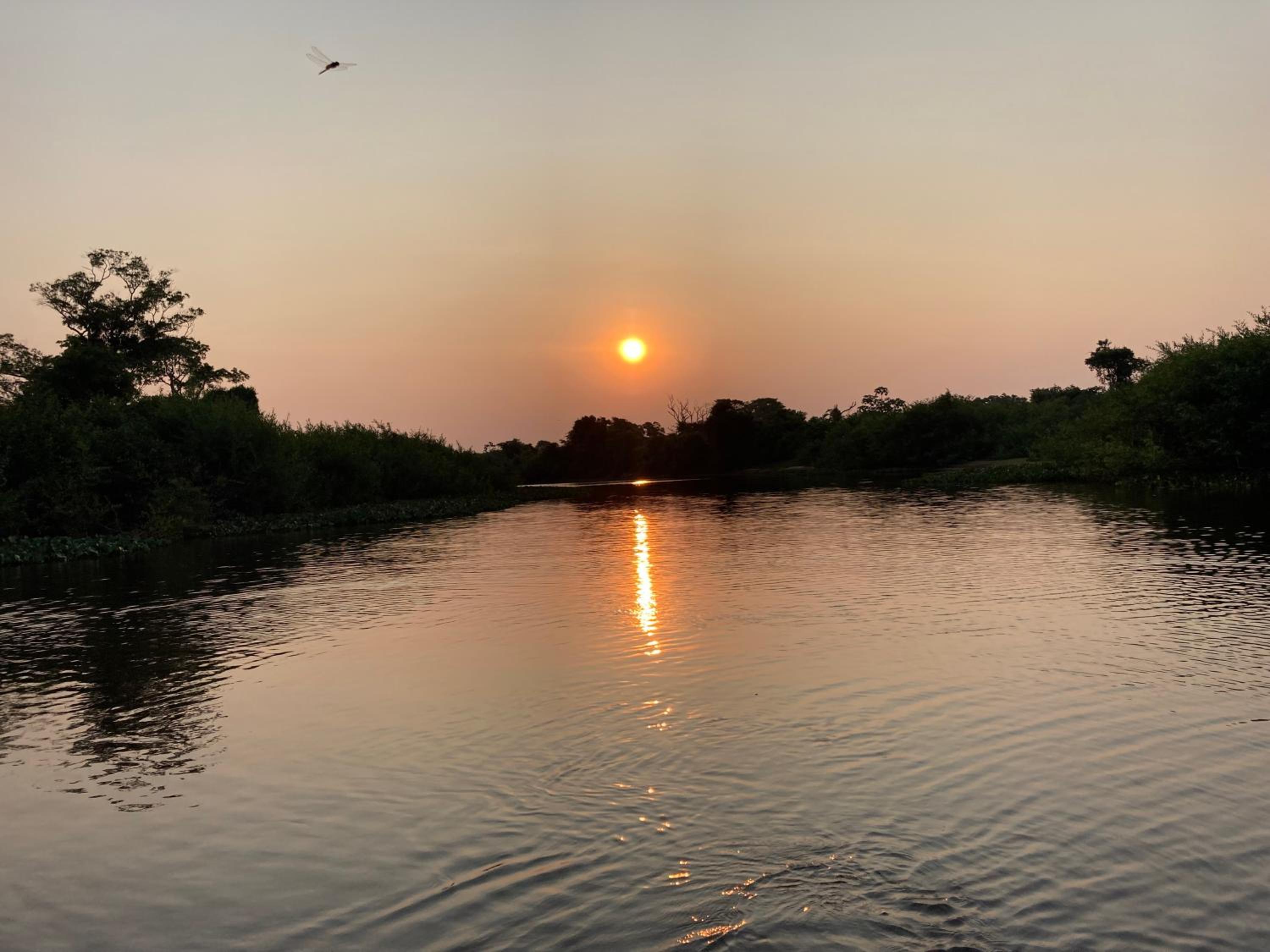 Hostel Camping Road Park Pantanal Sul