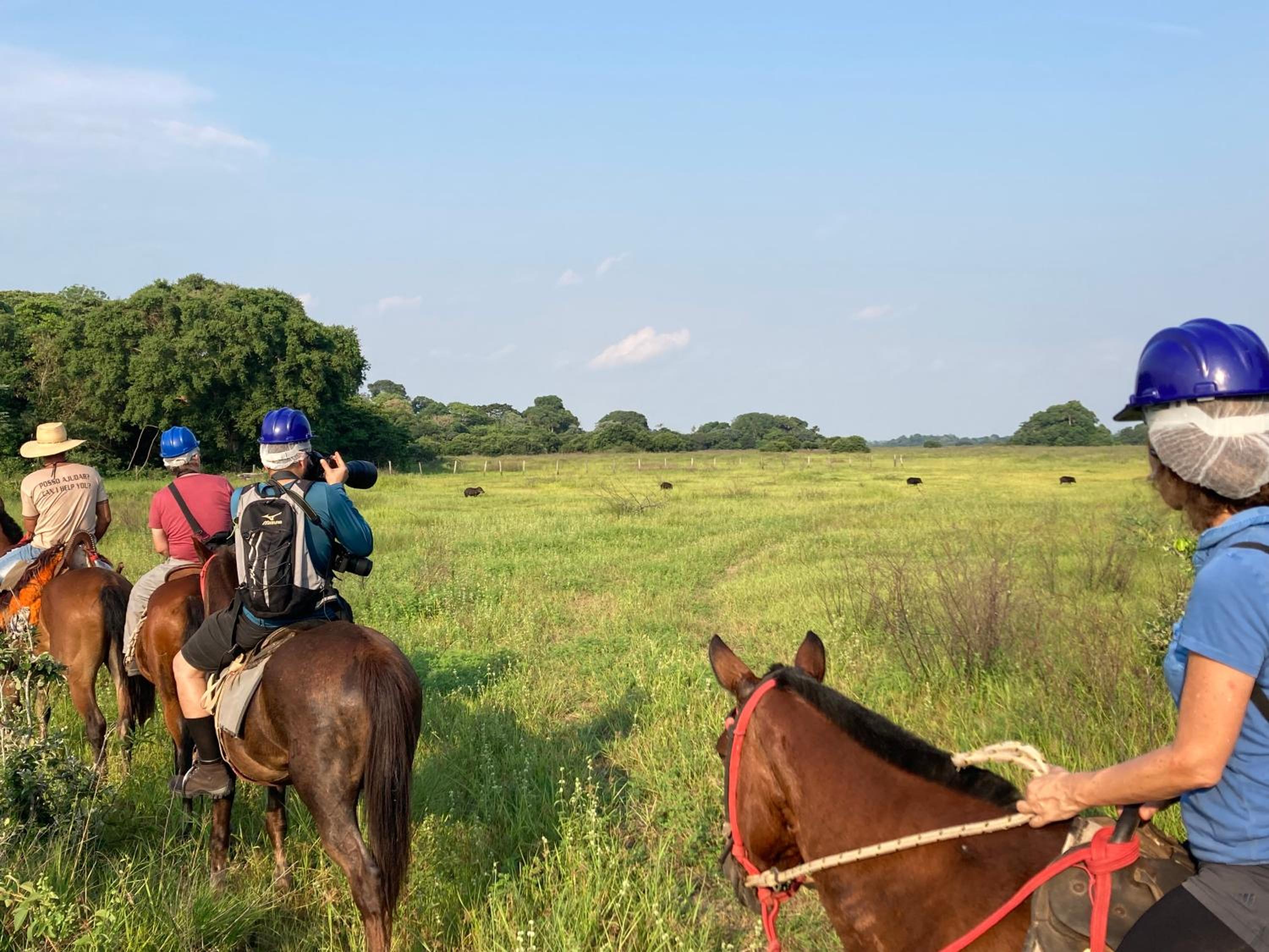 Hostel Camping Road Park Pantanal Sul