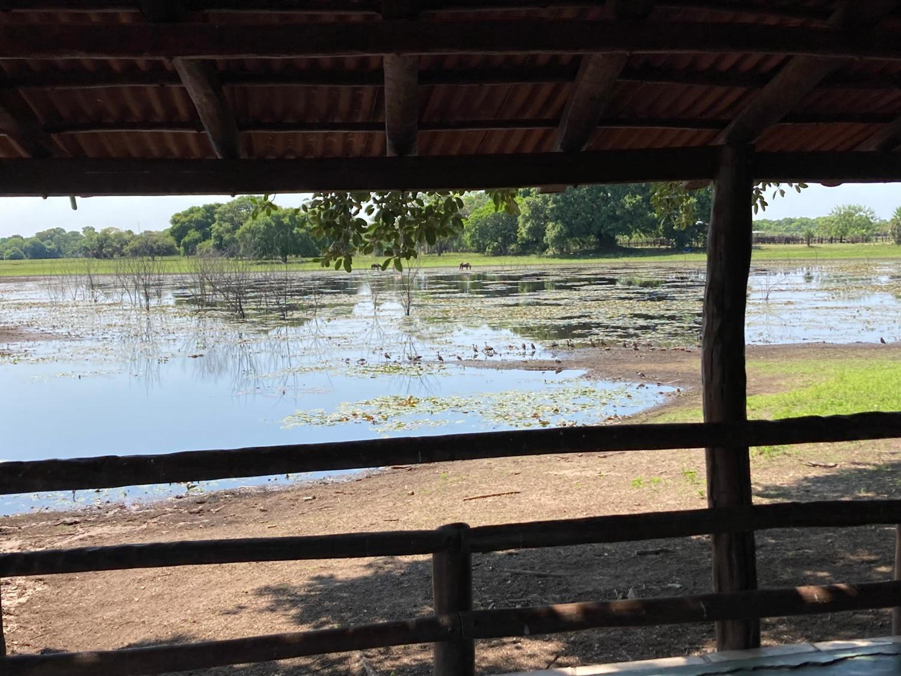 Hostel Camping Road Park Pantanal Sul