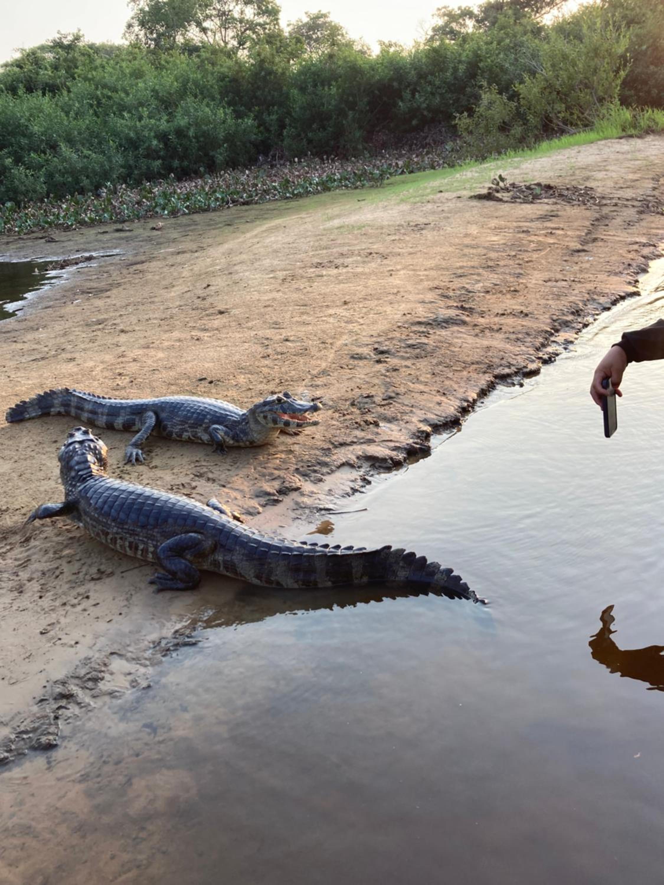 Hostel Camping Road Park Pantanal Sul