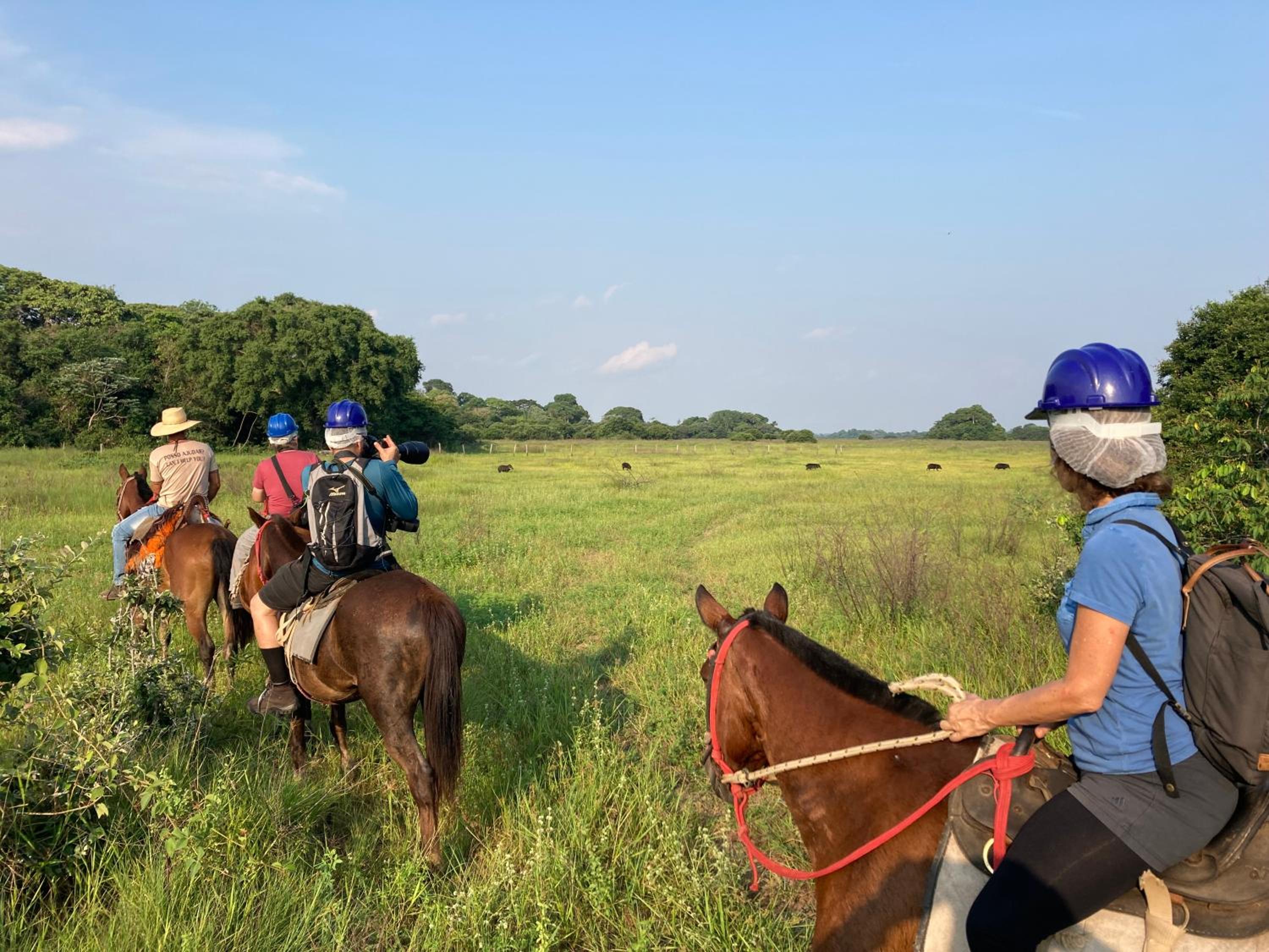 Hostel Camping Road Park Pantanal Sul