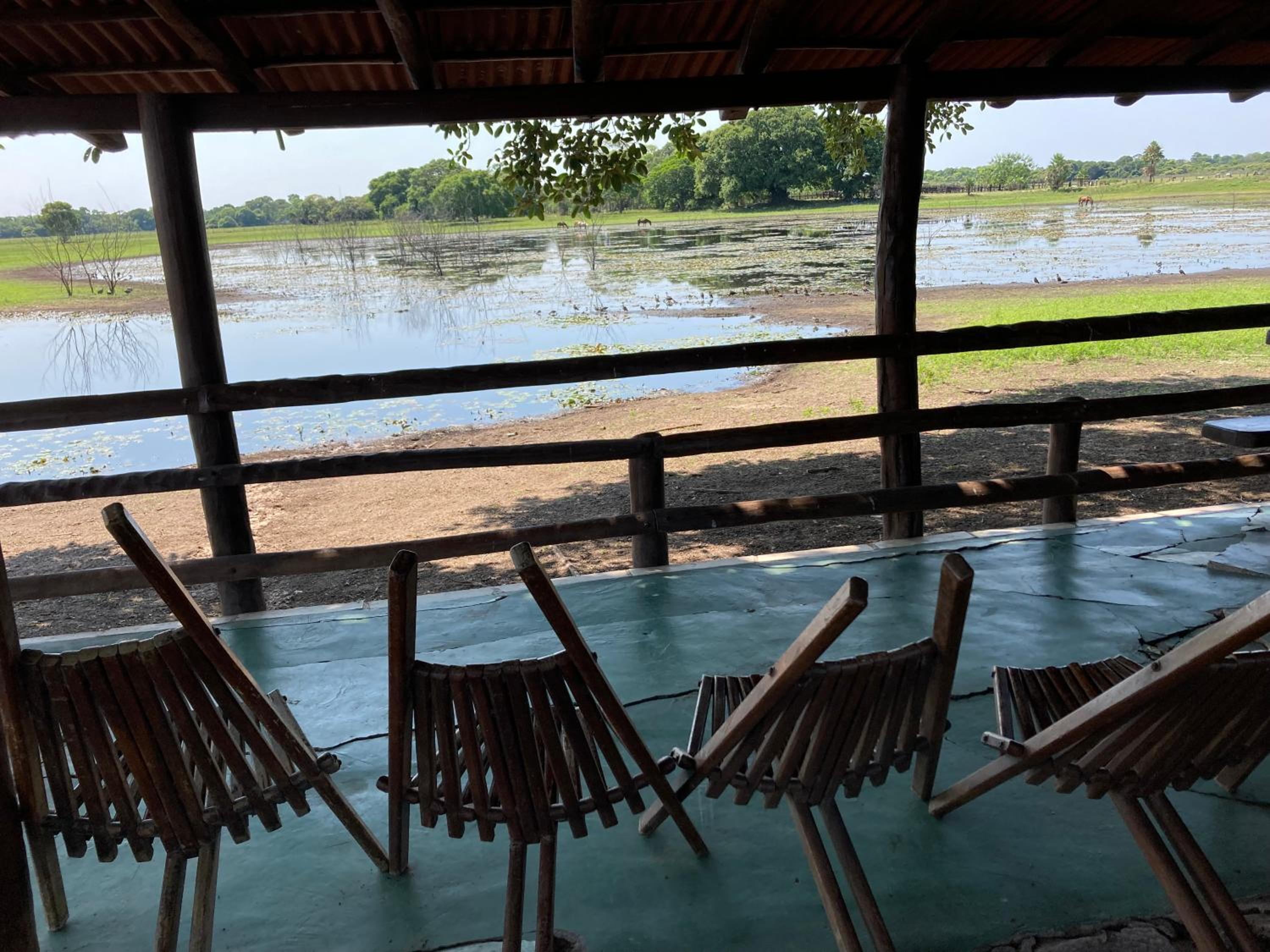 Hostel Camping Road Park Pantanal Sul