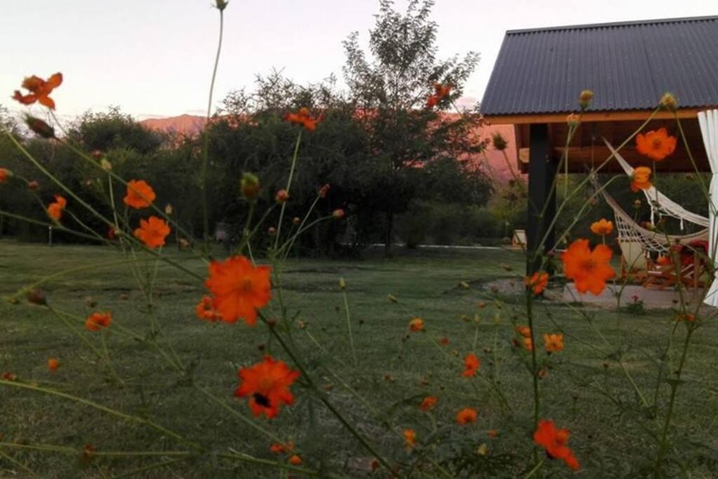 CASALINDA EN LA MONTAÑA CON PISCINA y WIFI