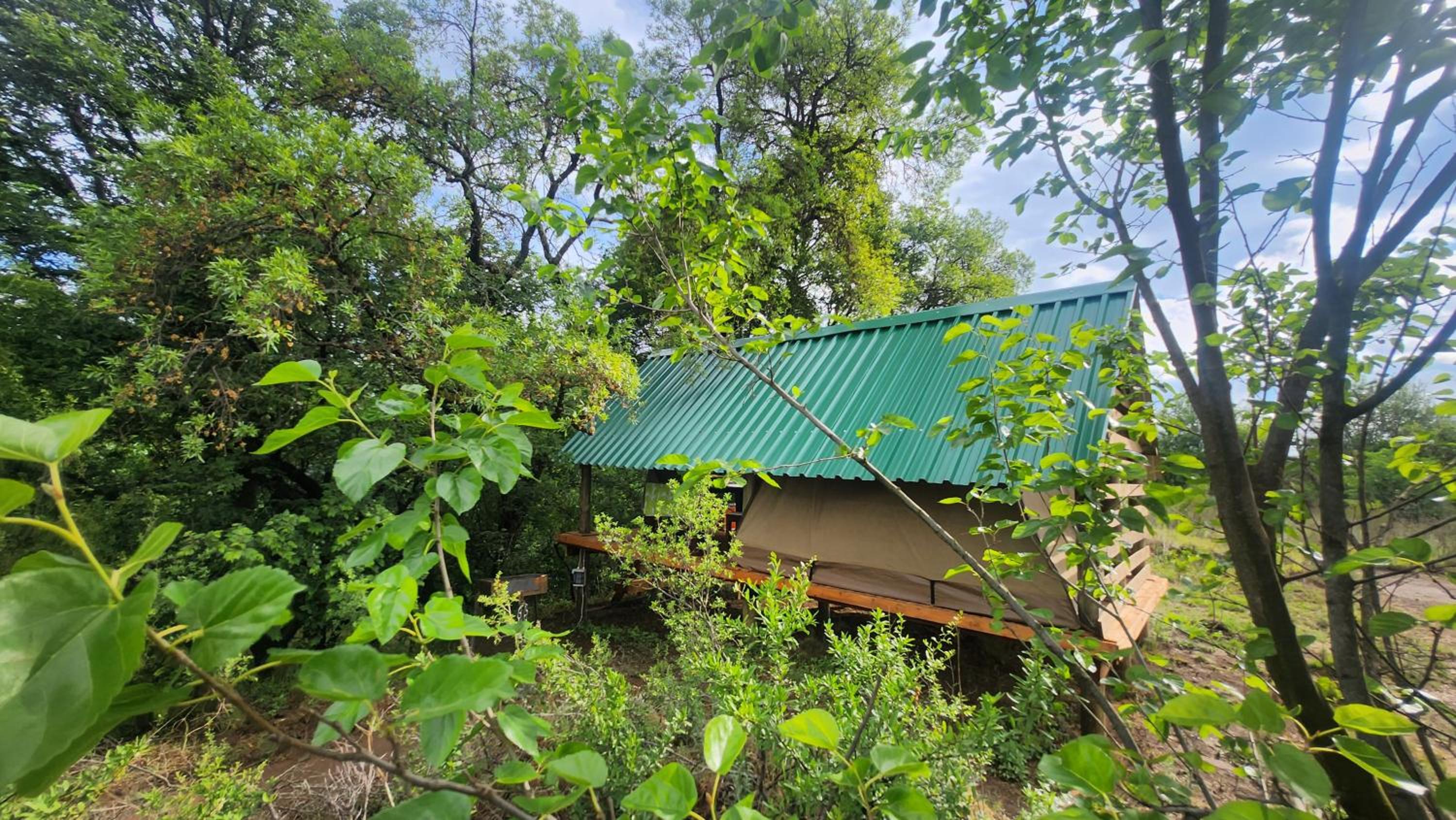 Jackal Cry River View Tent