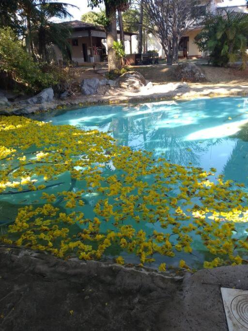 Casa da Cachoeira Piscina