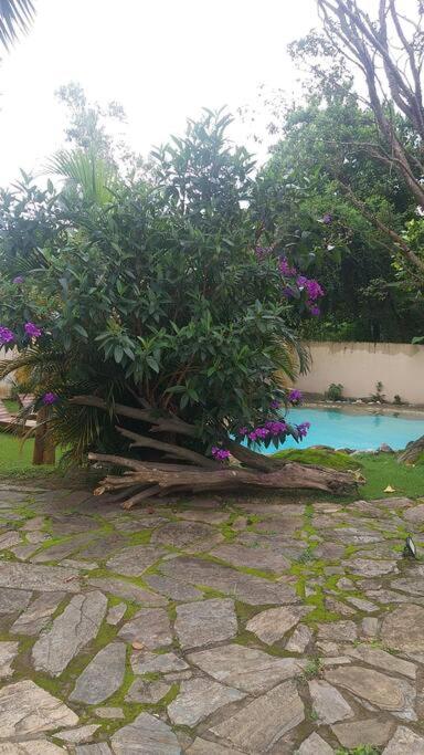 Casa da Cachoeira Piscina