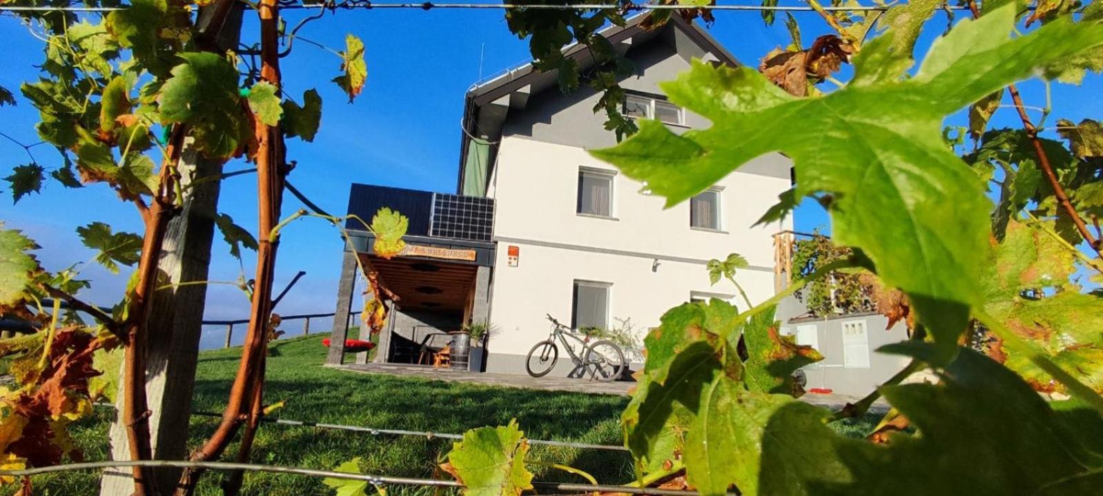 Apartmaji Gračner