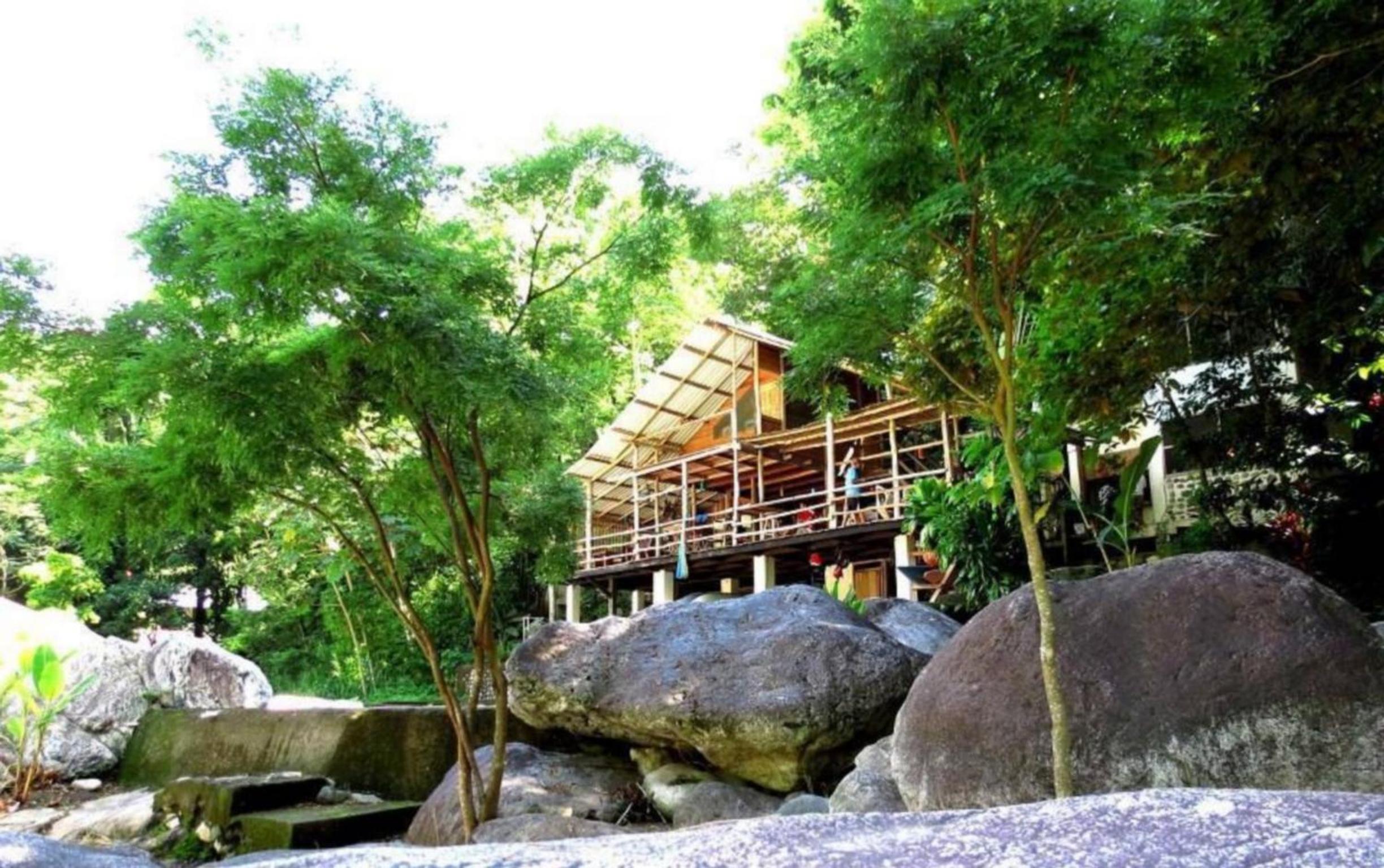 Jungle River Lodge view 4