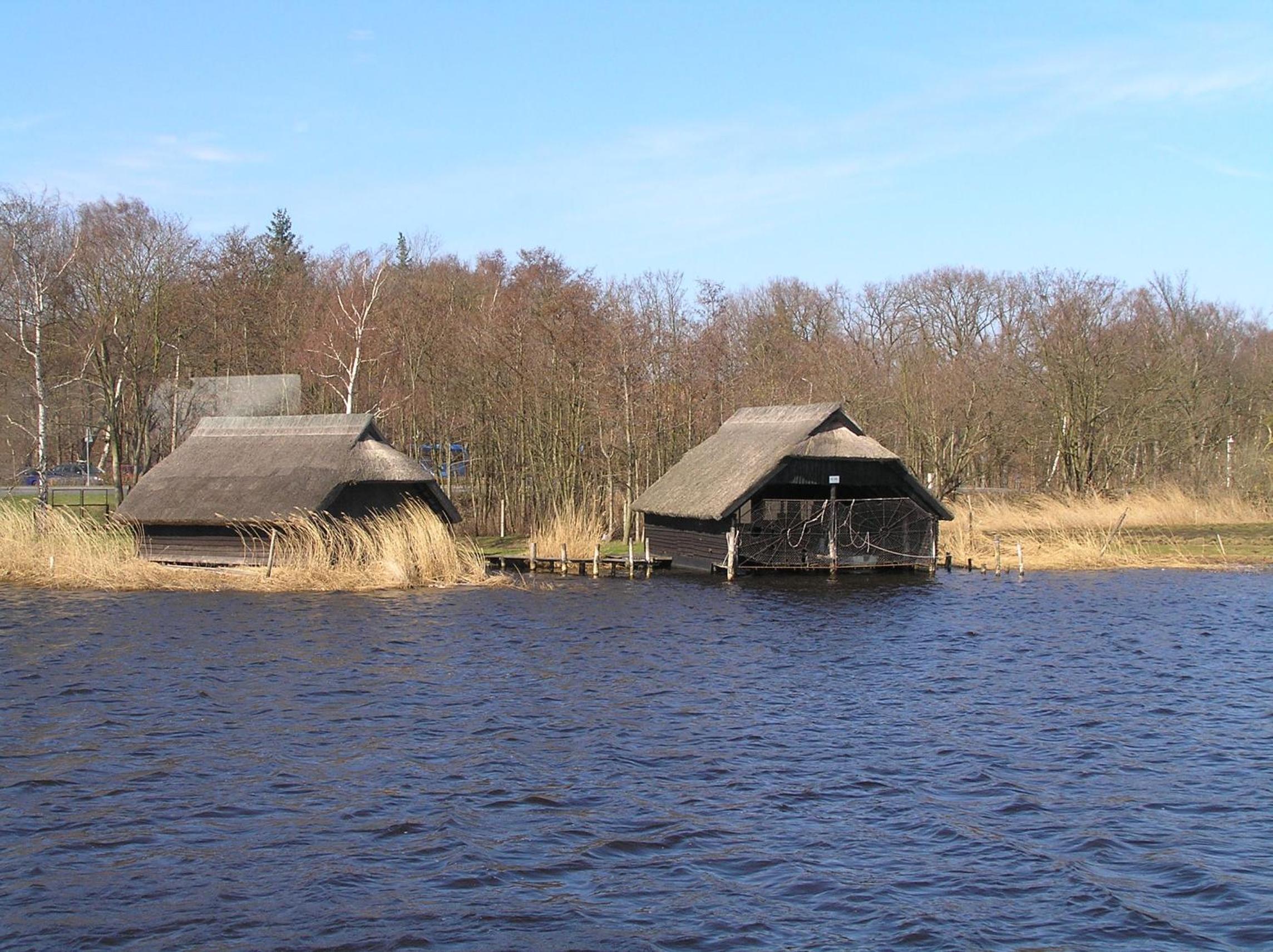 Eichenblick