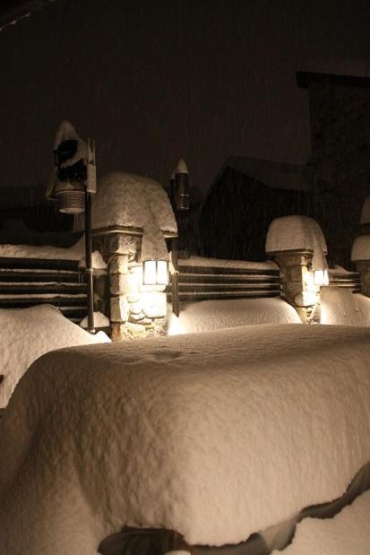 Casa Bringasort