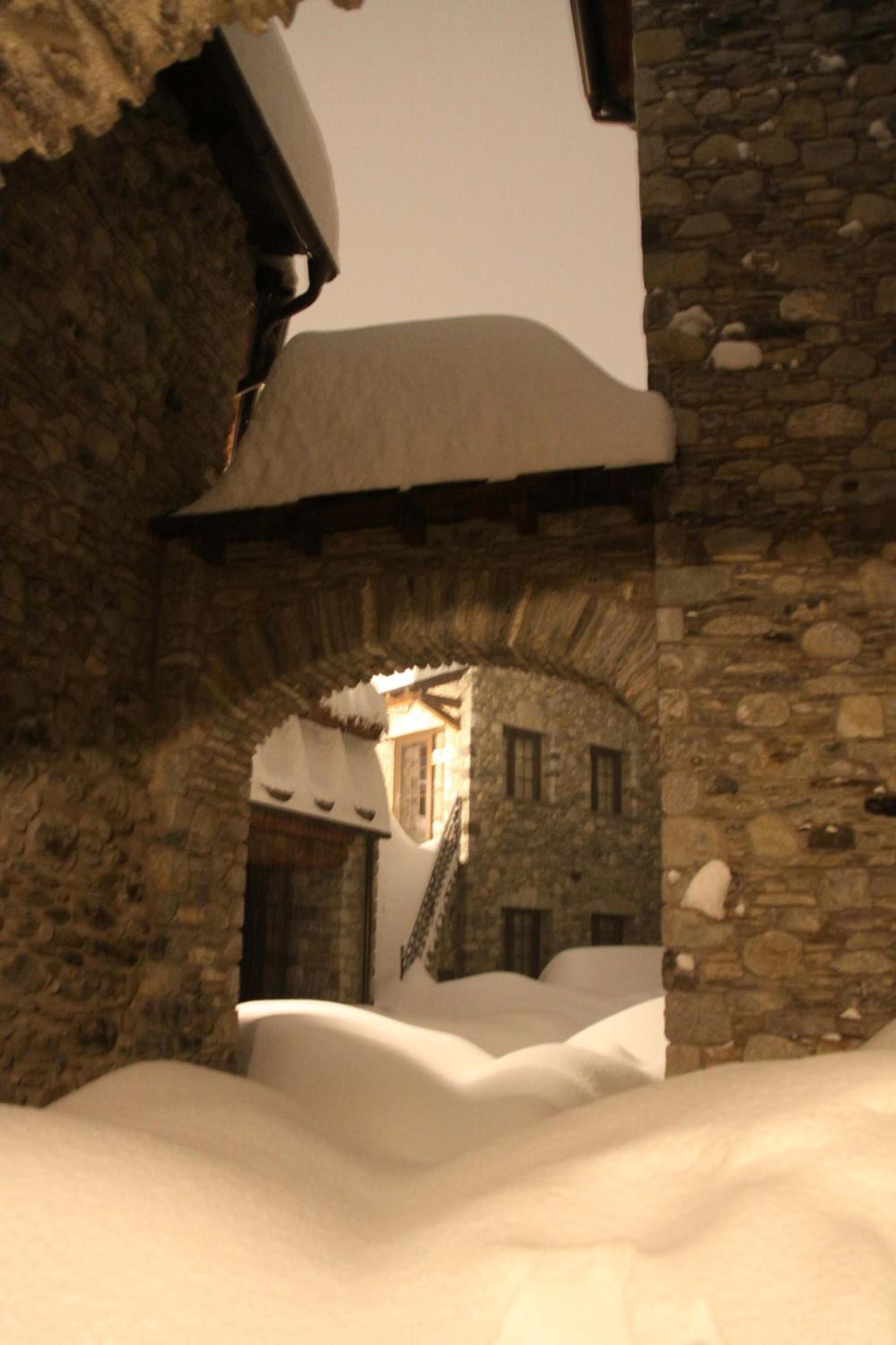 Casa Bringasort