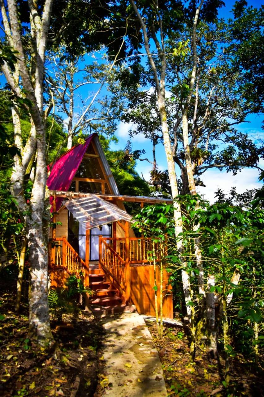 Hotel Finca La Rivera