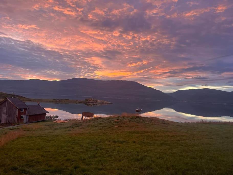 Serviced Farmhouse - Kvaløyvågen Gård
