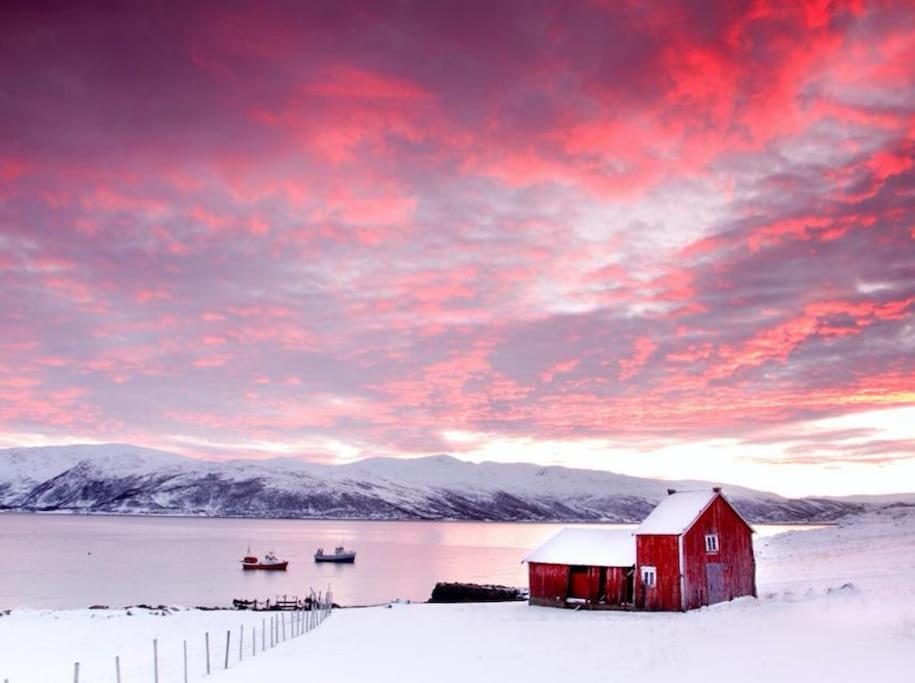 Serviced Farmhouse - Kvaløyvågen Gård