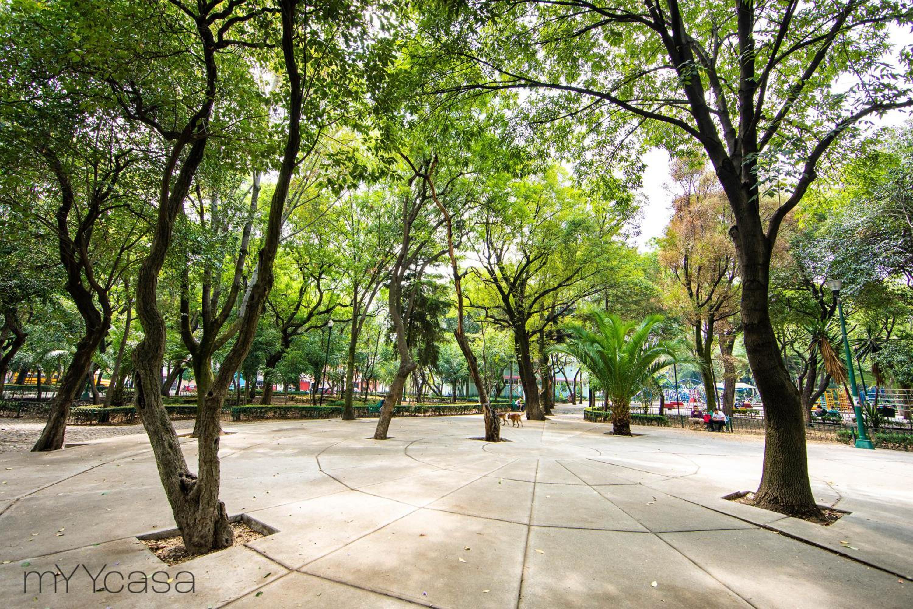 Nadal 202 · Brand New Park Front Terrace Apartment photo 4
