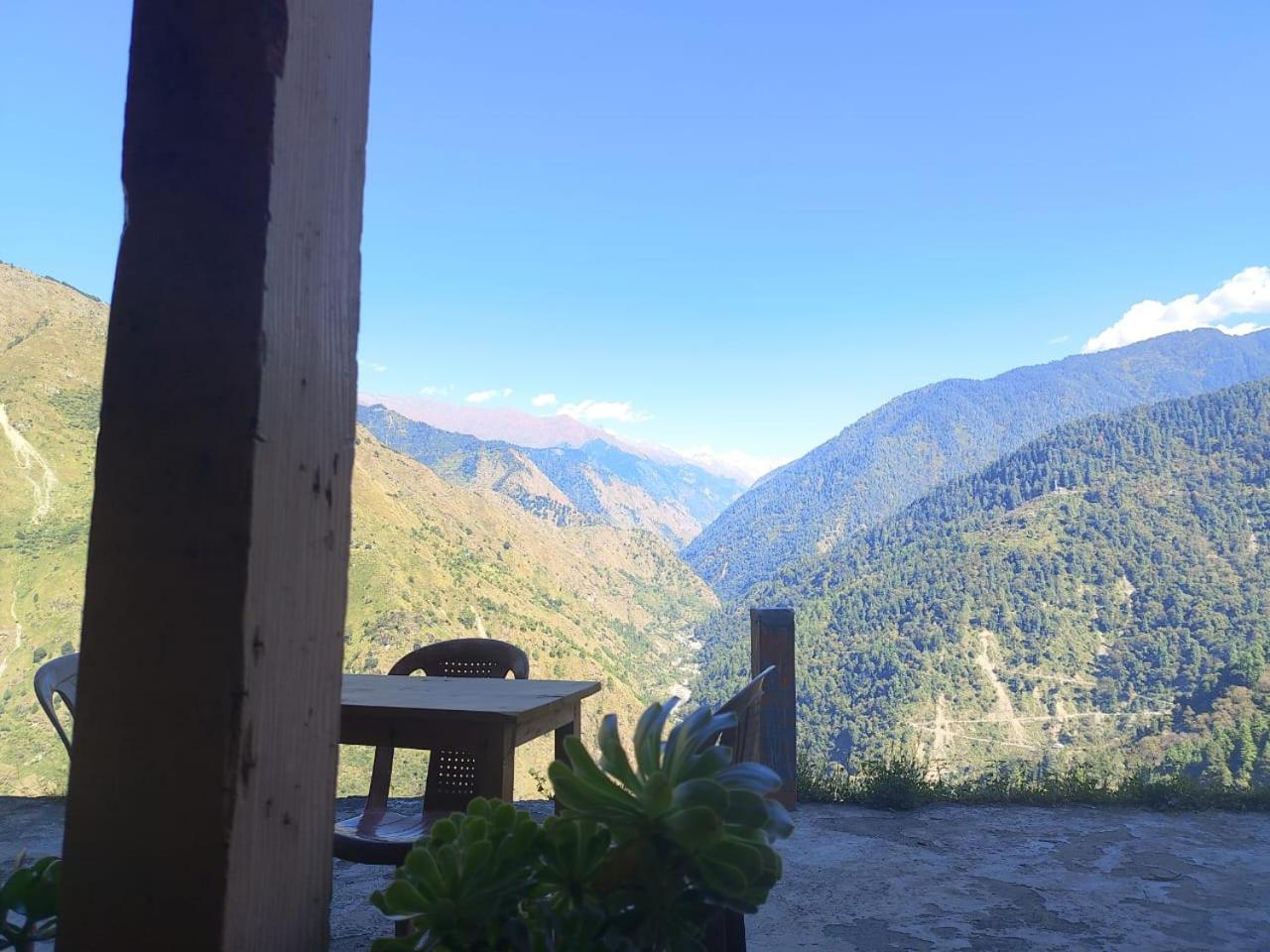 Himalayan Nest Sharan