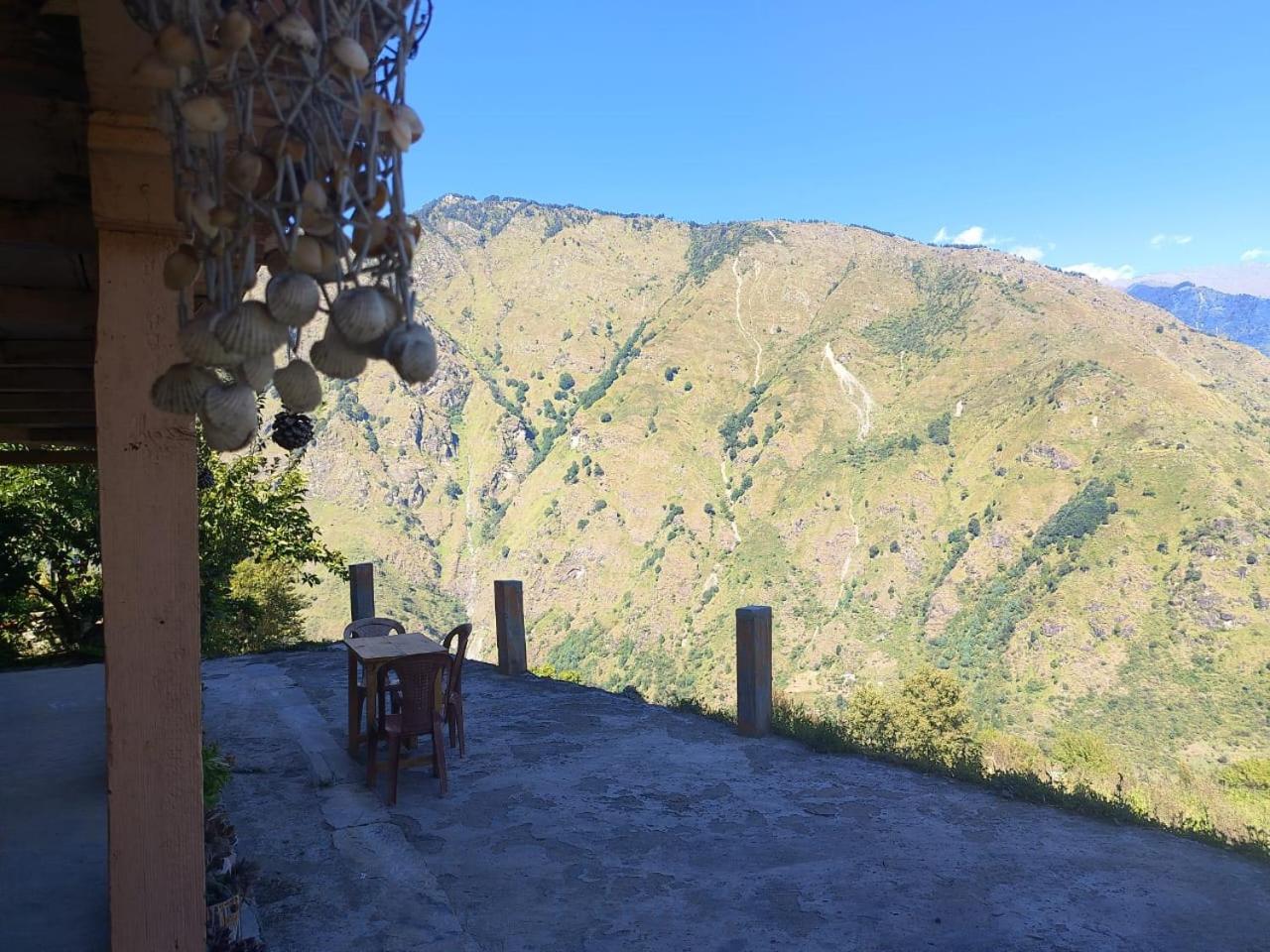 Himalayan Nest Sharan