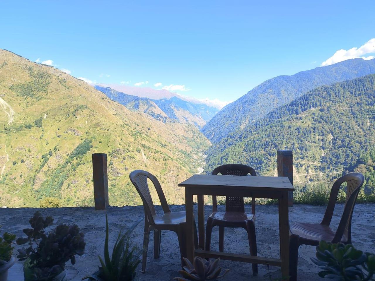 Himalayan Nest Sharan