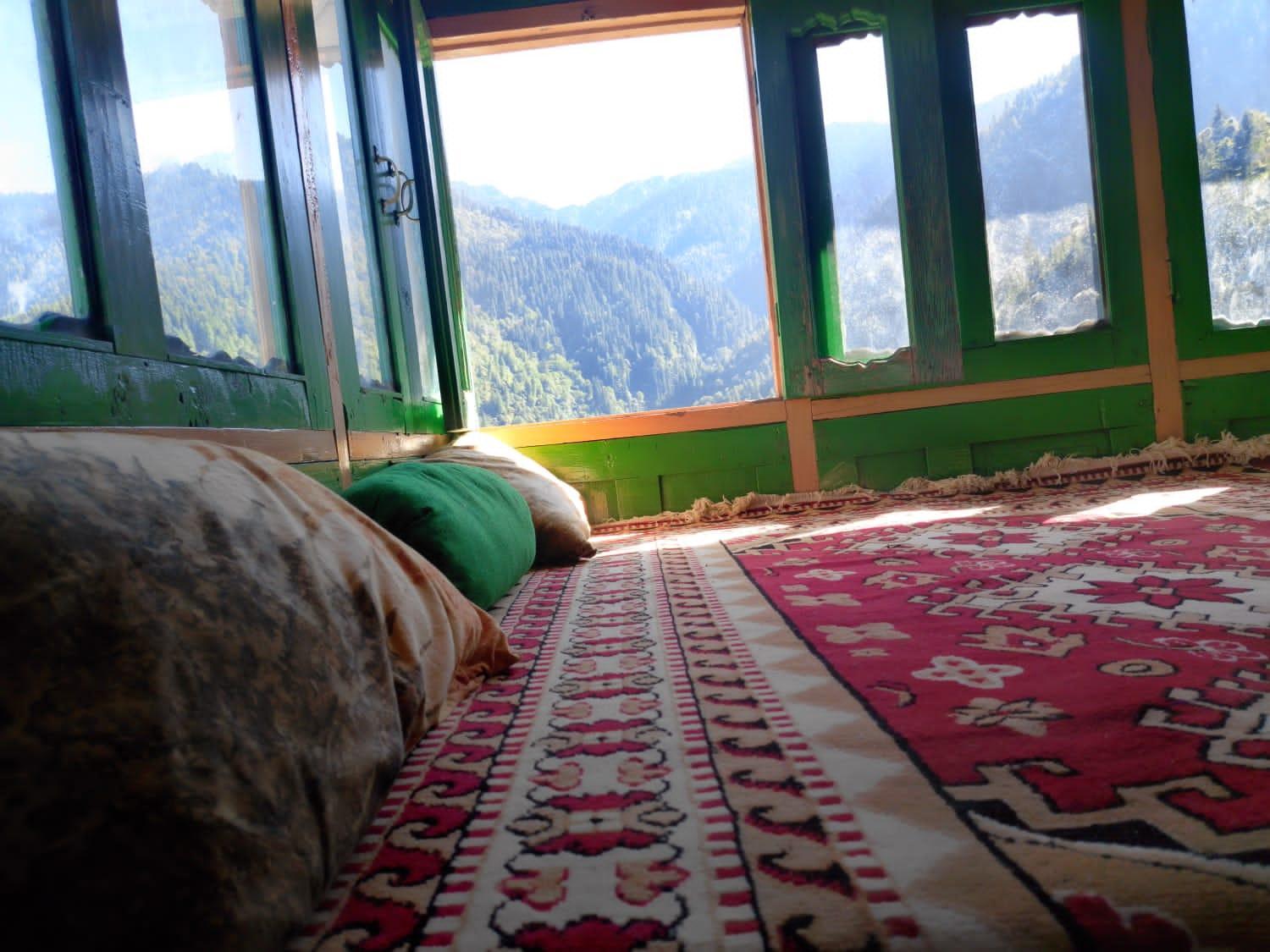 Himalayan Nest Sharan
