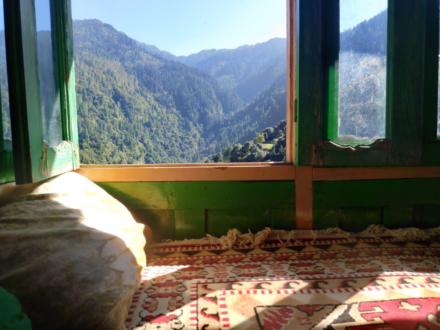 Himalayan Nest Sharan
