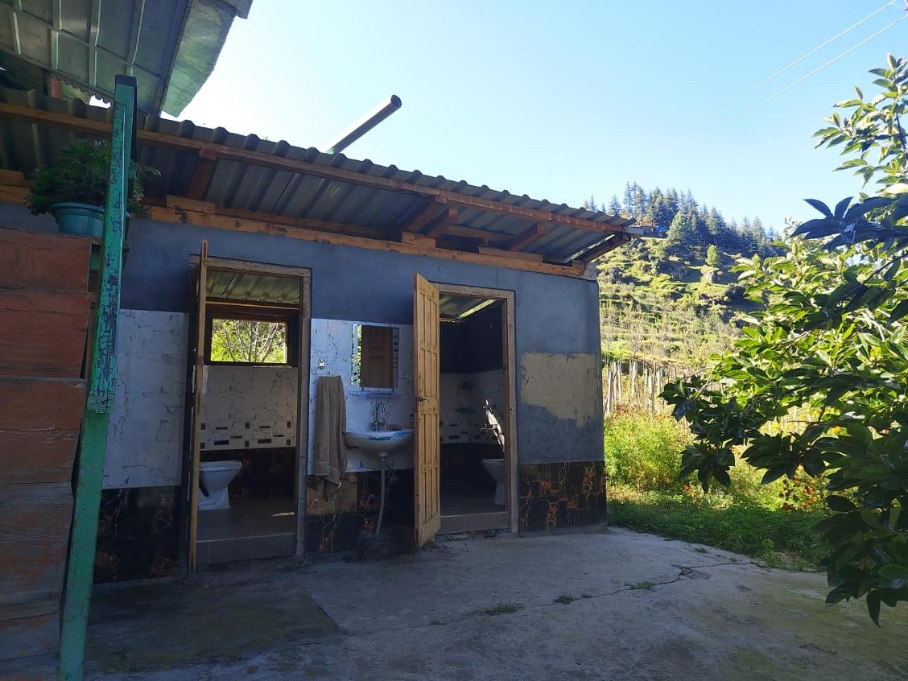 Himalayan Nest Sharan