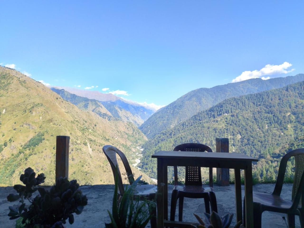 Himalayan Nest Sharan