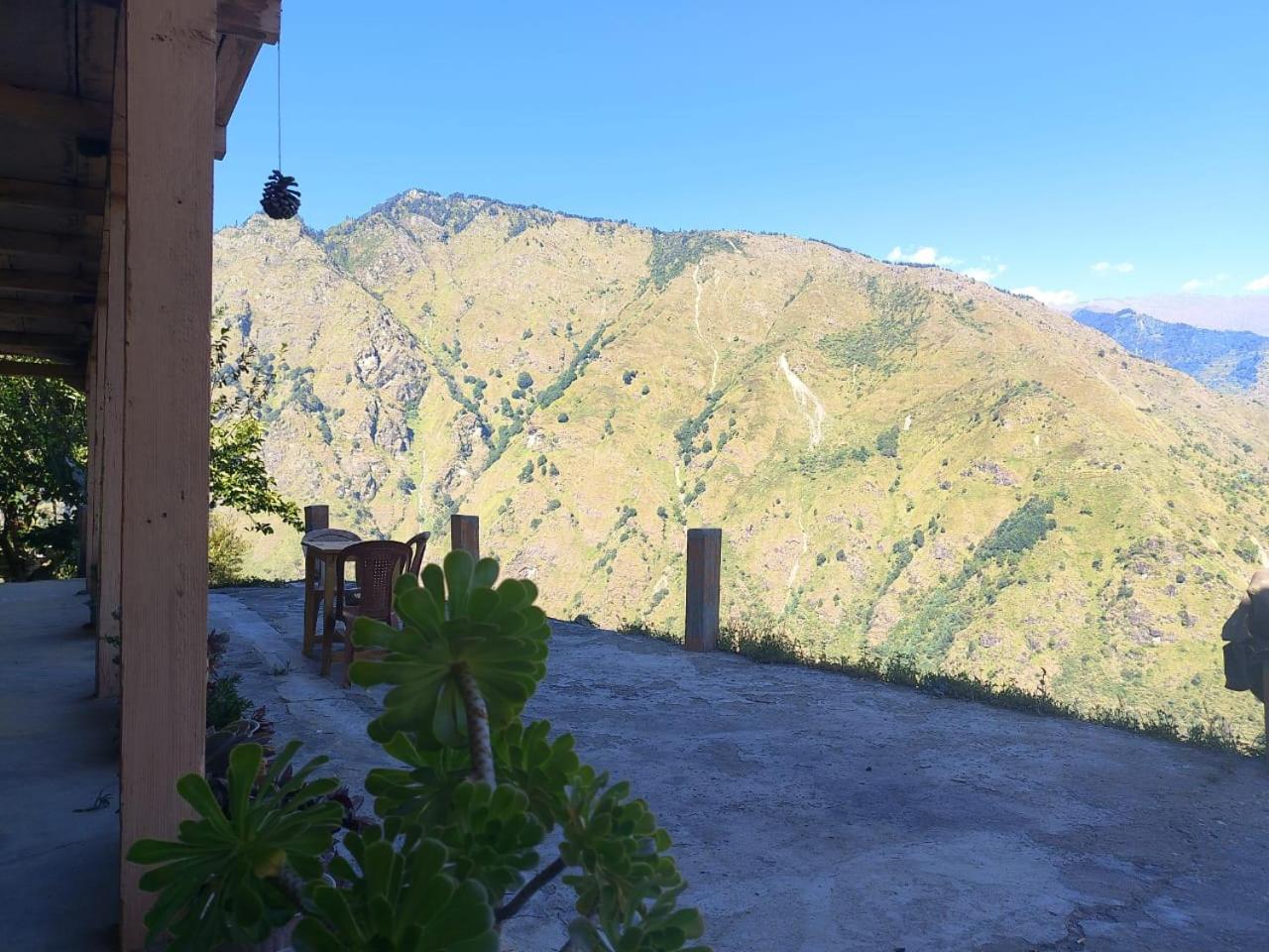 Himalayan Nest Sharan