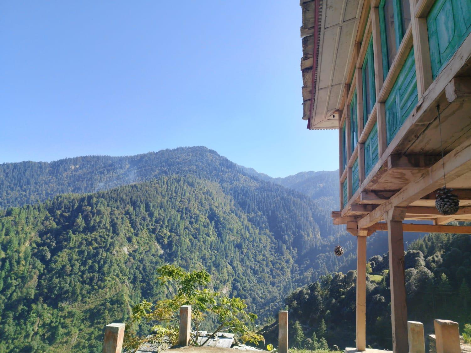 Himalayan Nest Sharan