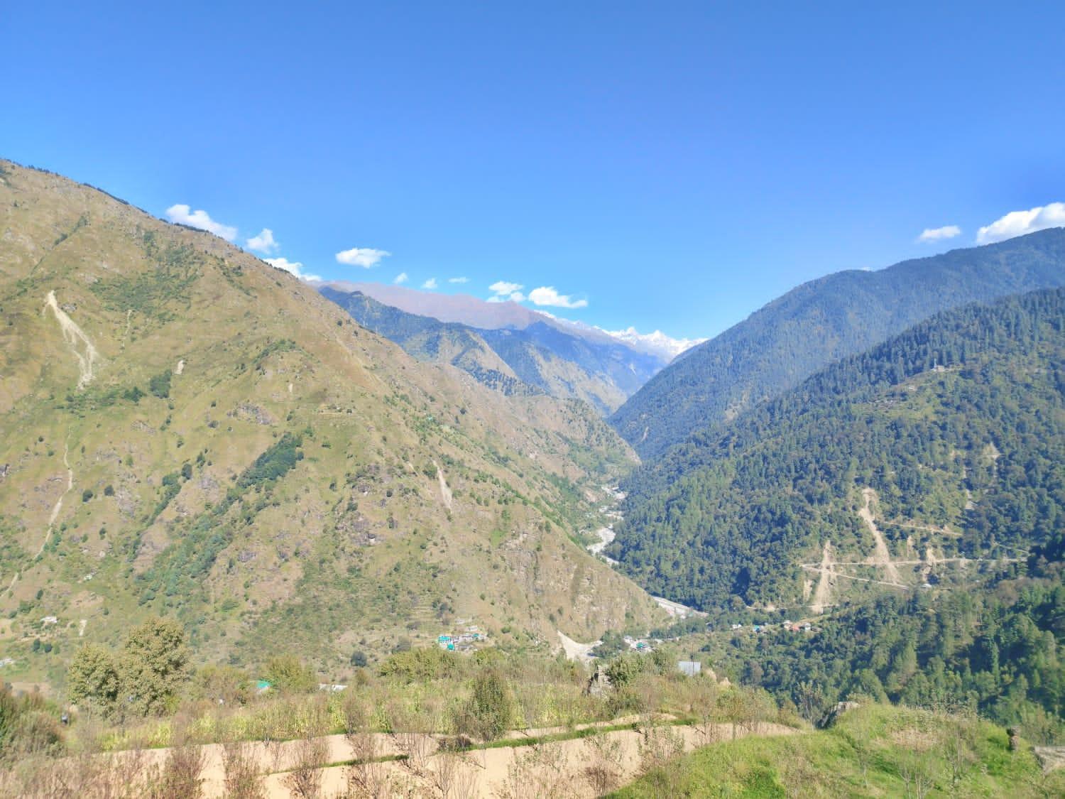 Himalayan Nest Sharan