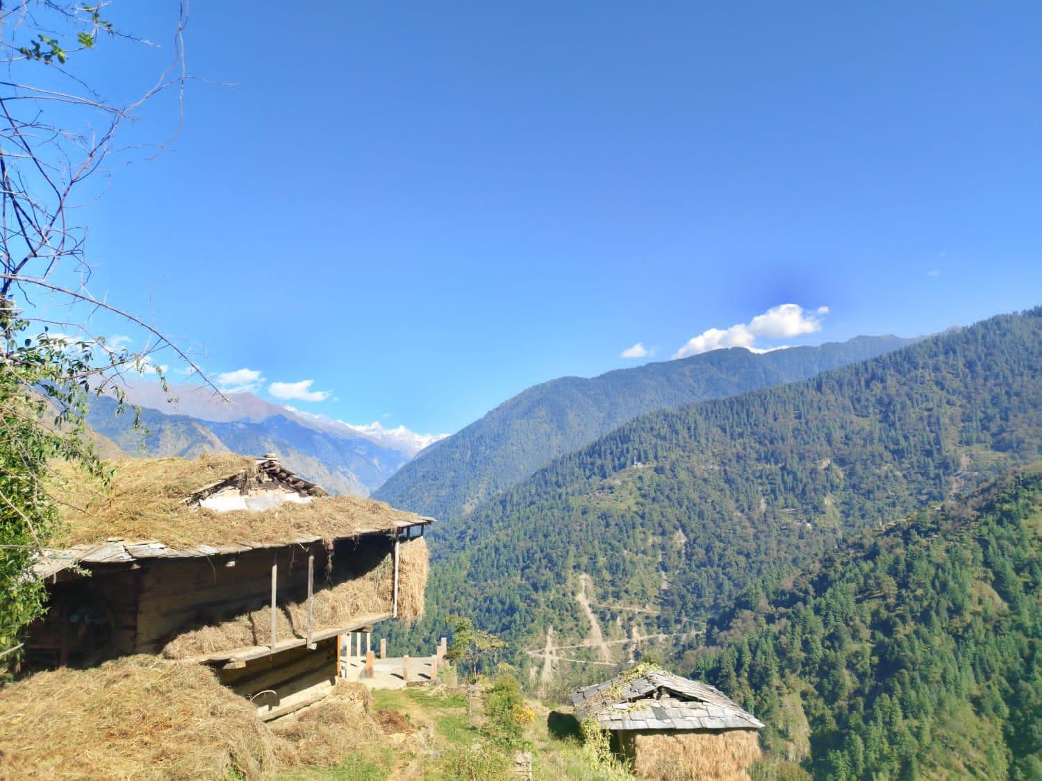 Himalayan Nest Sharan
