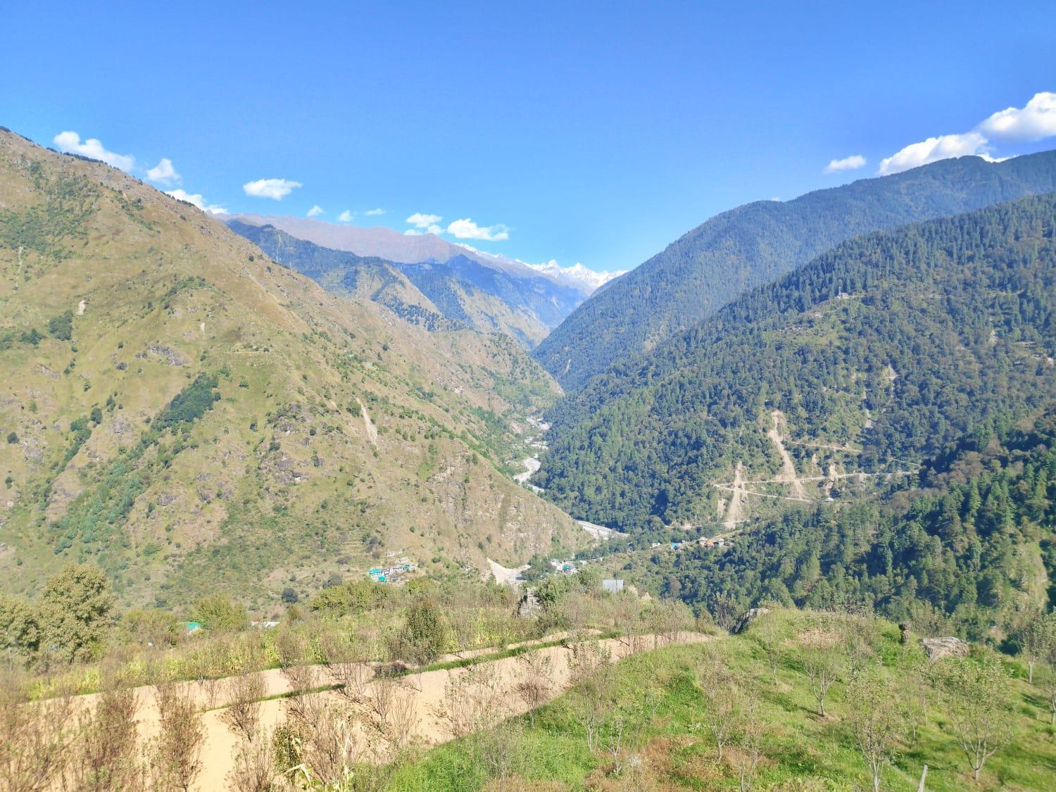 Himalayan Nest Sharan