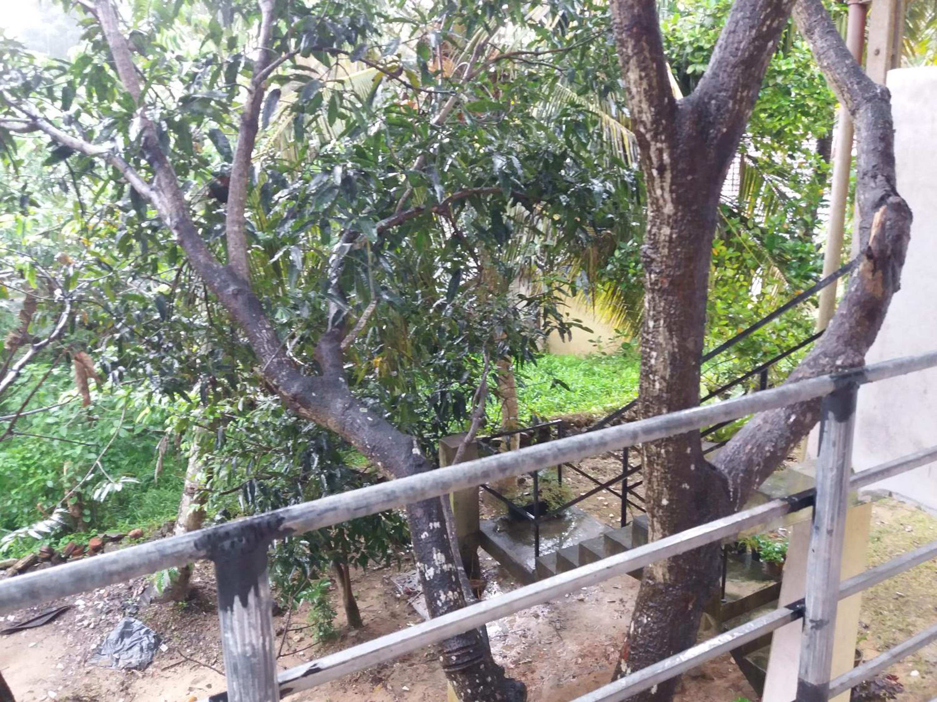 Photo 28