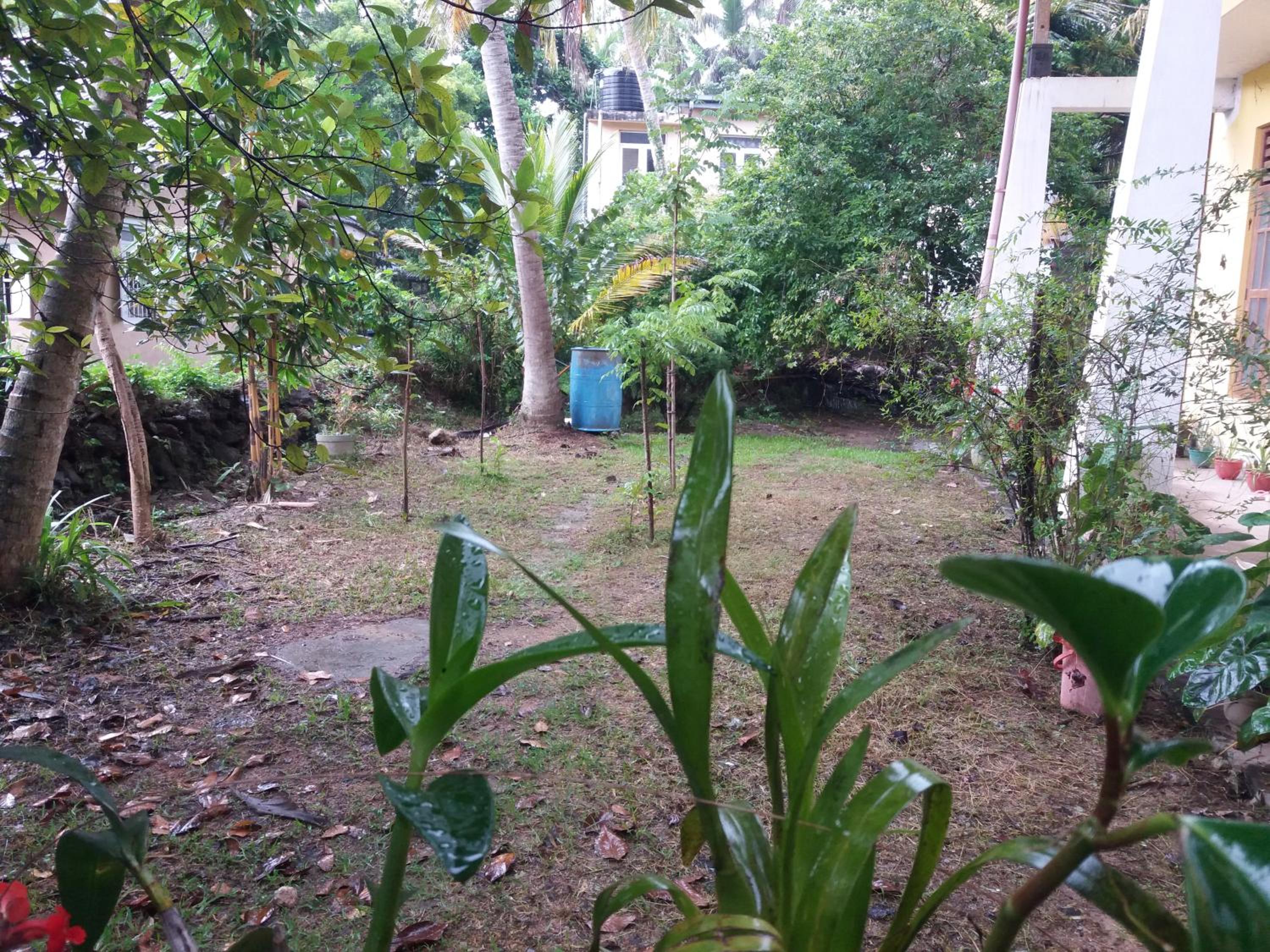 Photo 33