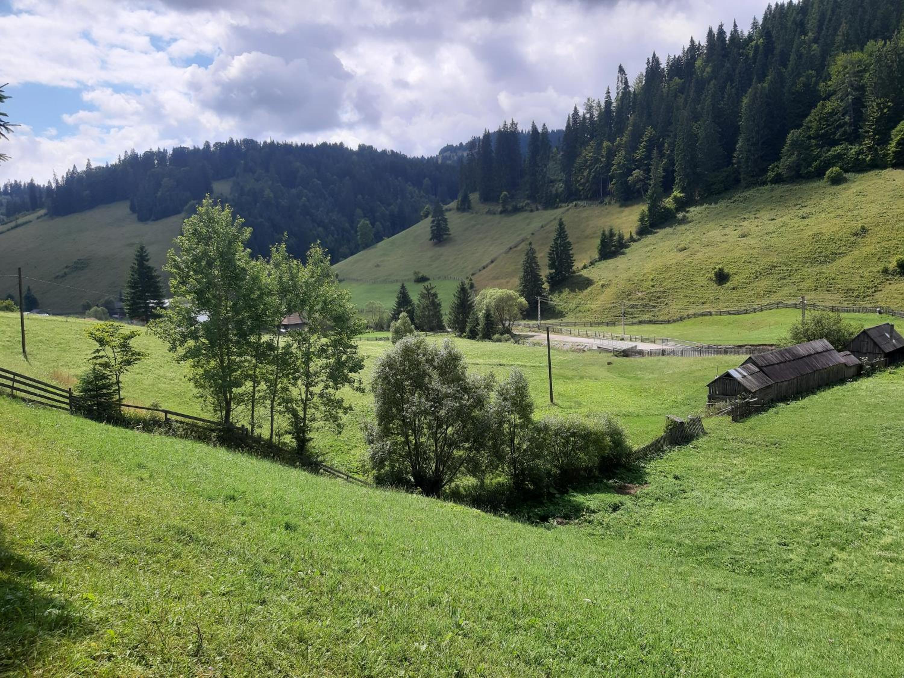 Photo 43